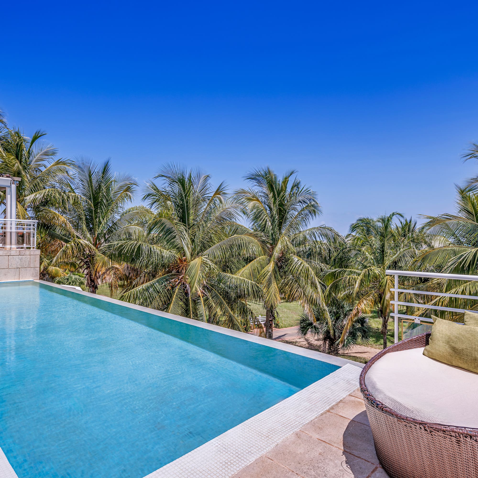 a pool with a deck and palm trees