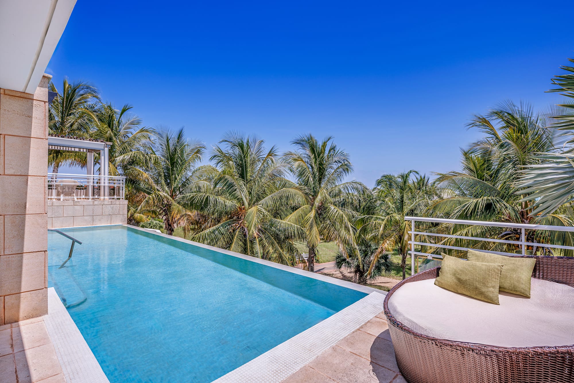 a pool with a deck and palm trees