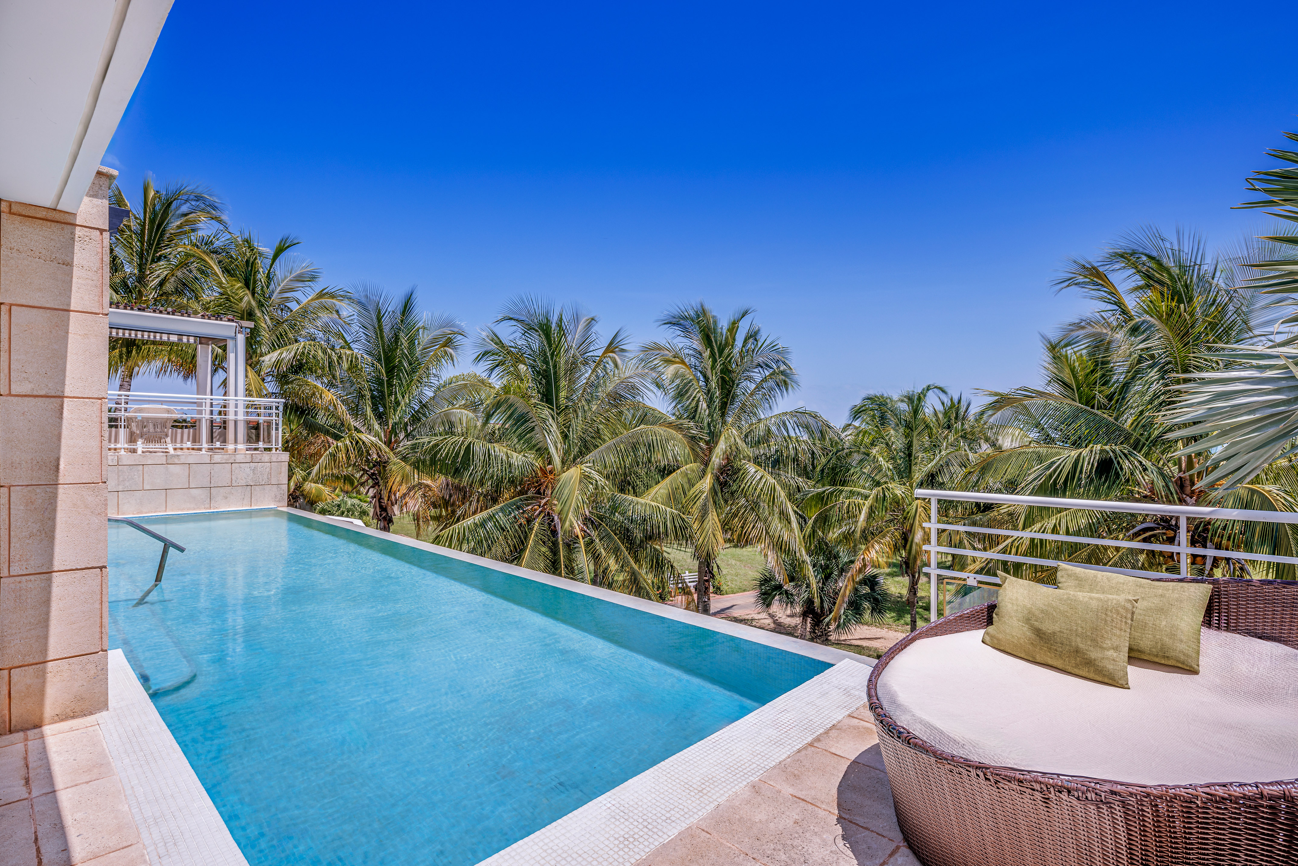 a pool with a deck and palm trees