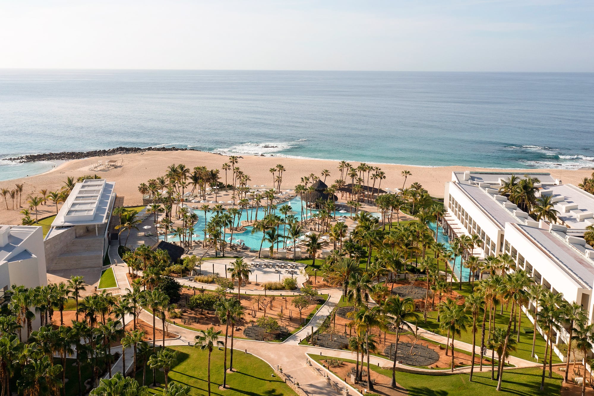 Aerial view of luxury beachfront resort with large swimming pool, palm trees, and ocean. - Paradisus Los Cabos - Adults Only, Los Cabos