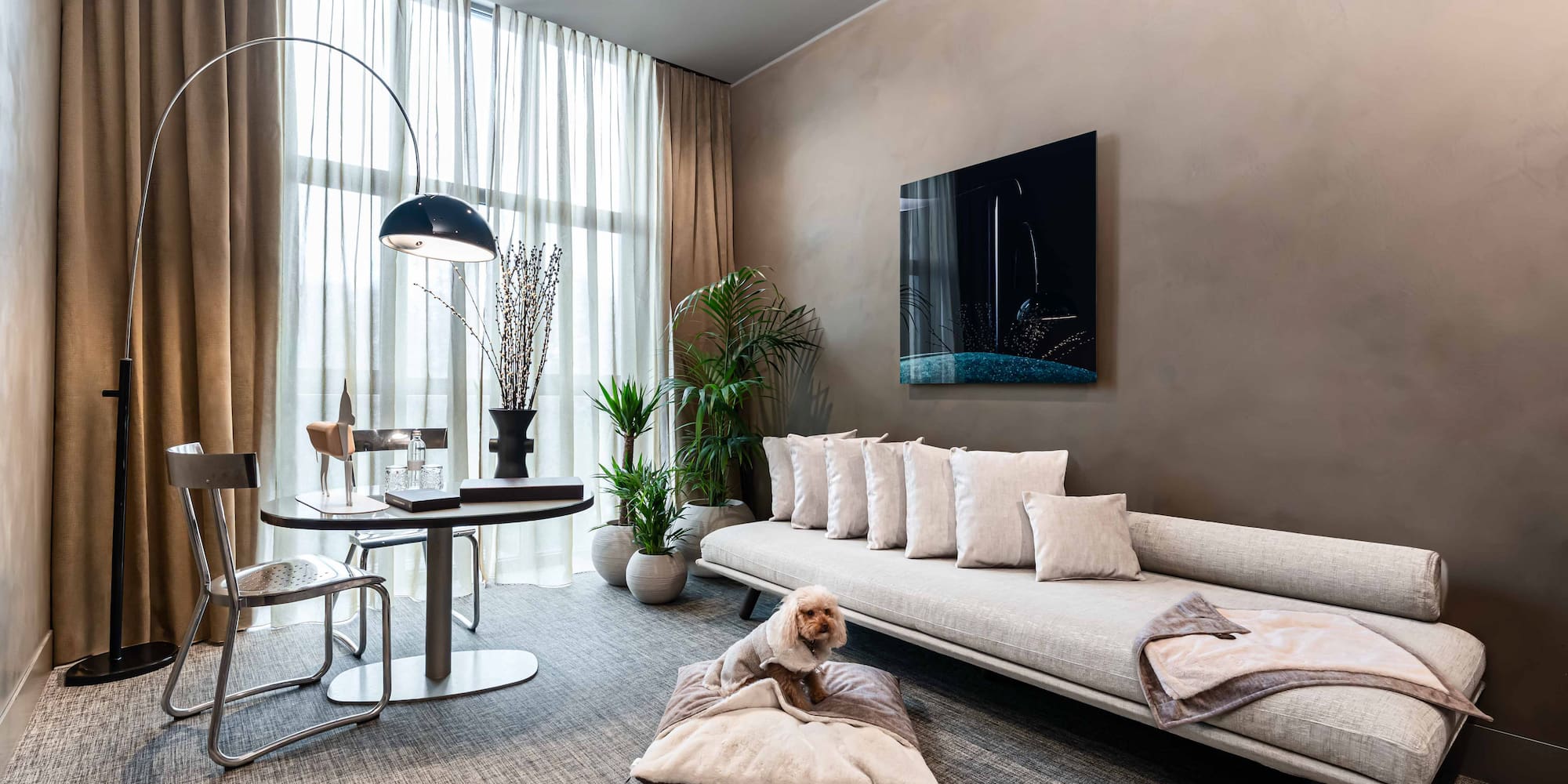 a dog sitting on a pillow in a living room