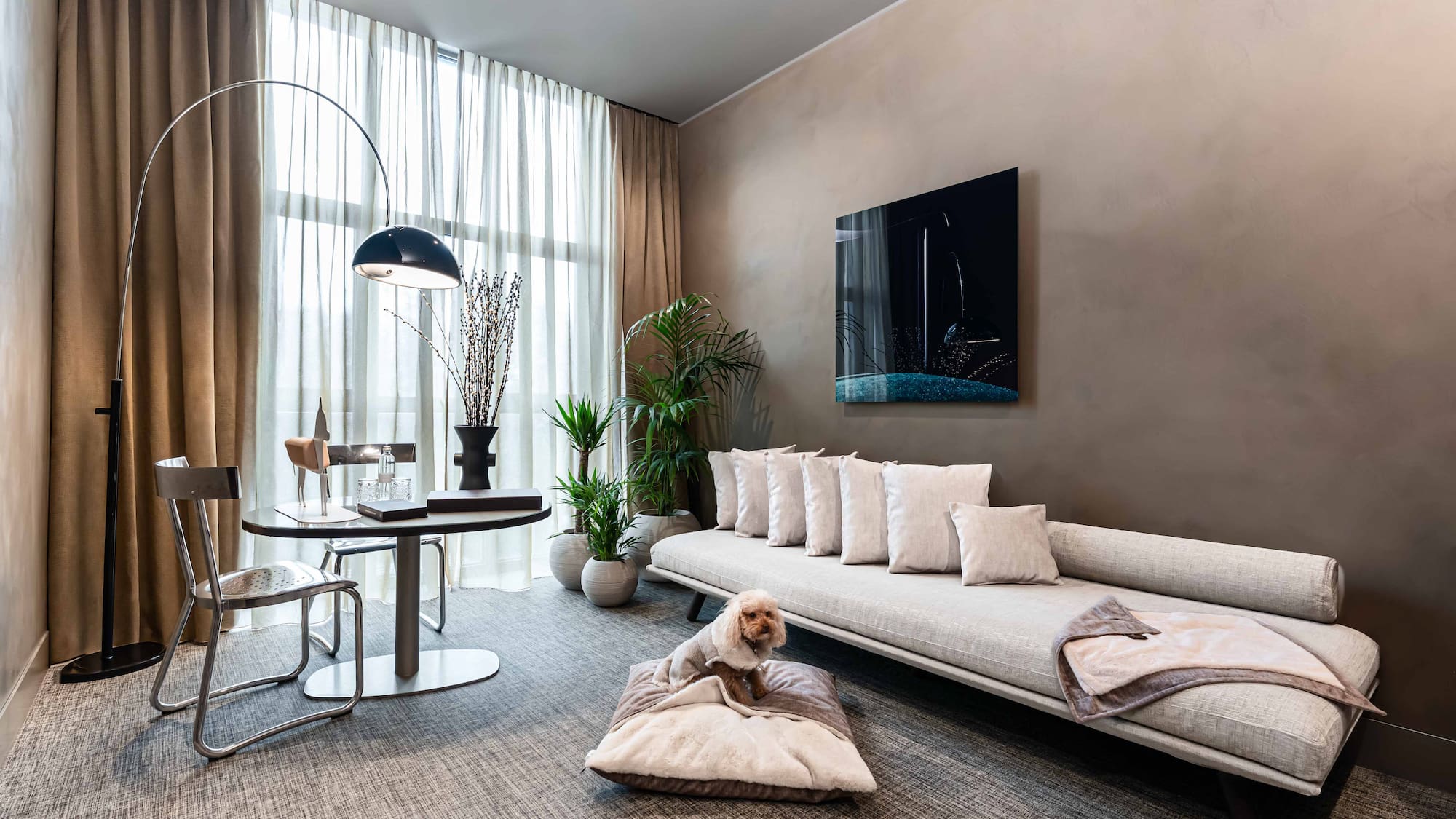 a dog sitting on a pillow in a living room