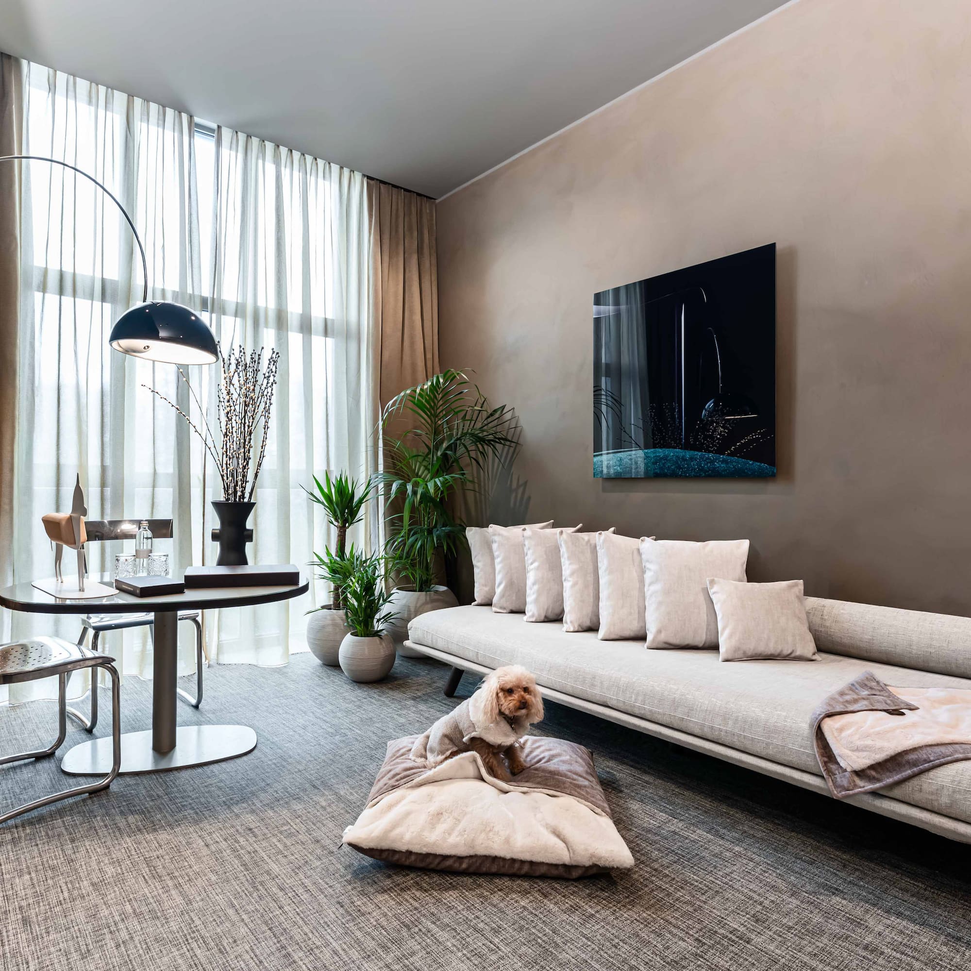 a dog sitting on a pillow in a living room