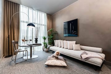 a dog sitting on a pillow in a living room