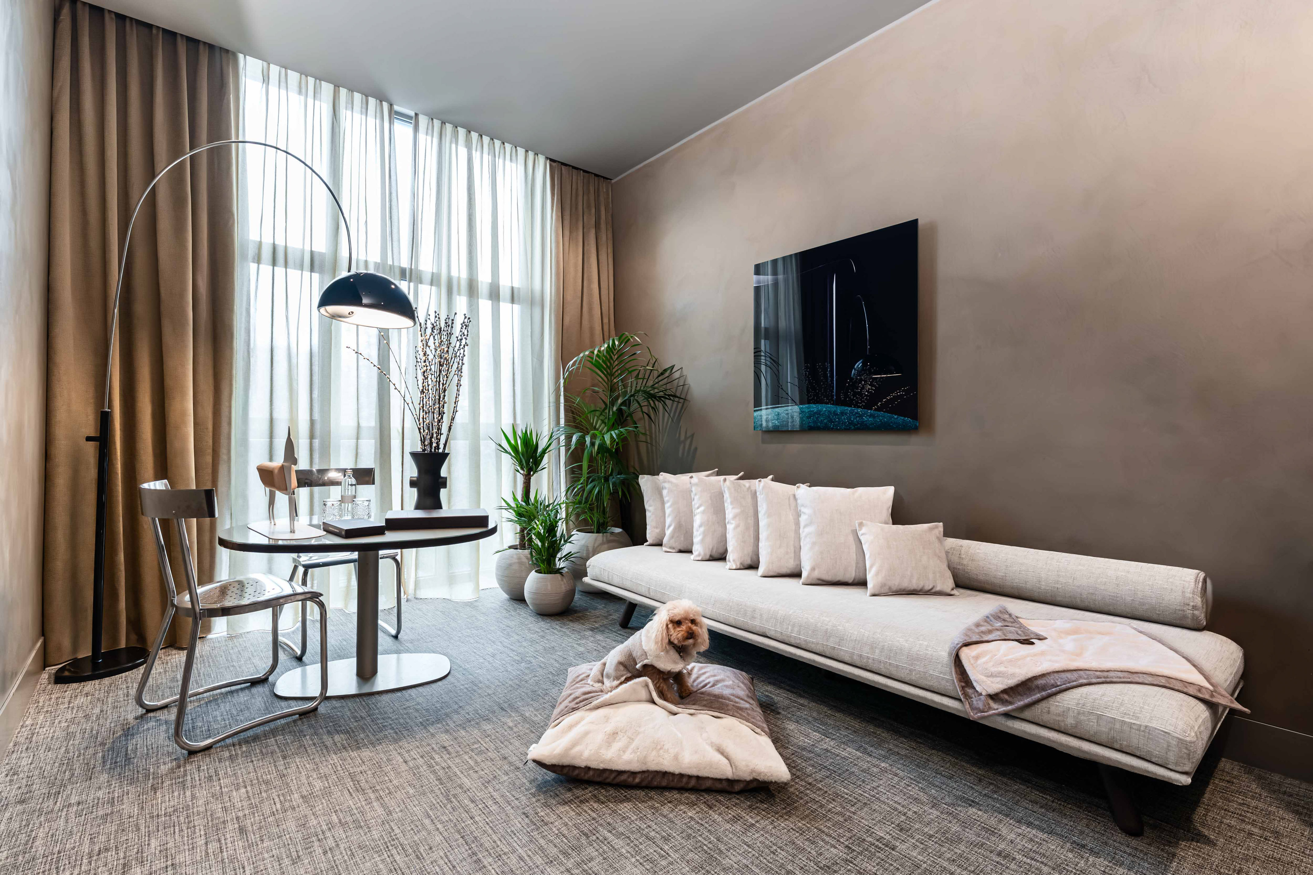 Modern pet-friendly hotel suite with neutral sofa, plants, and small dog on bed.