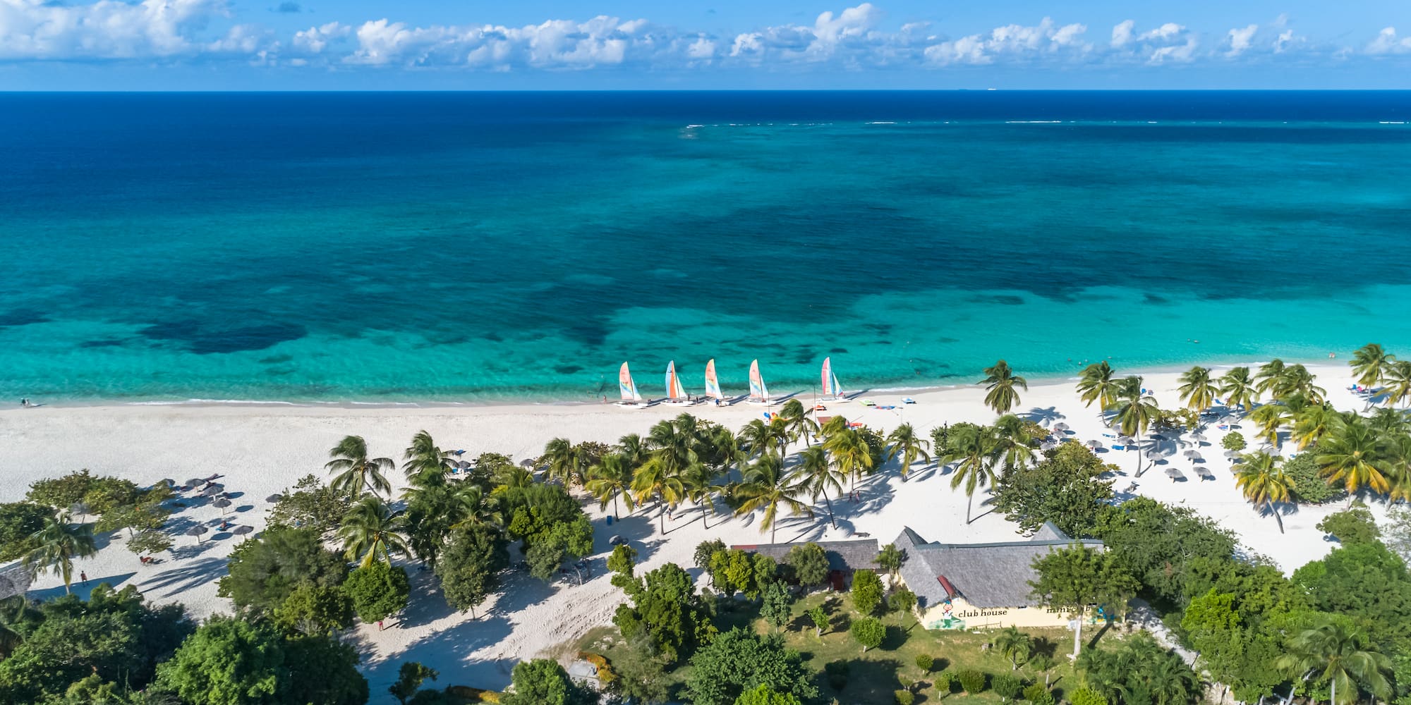a beach with trees and a blue ocean