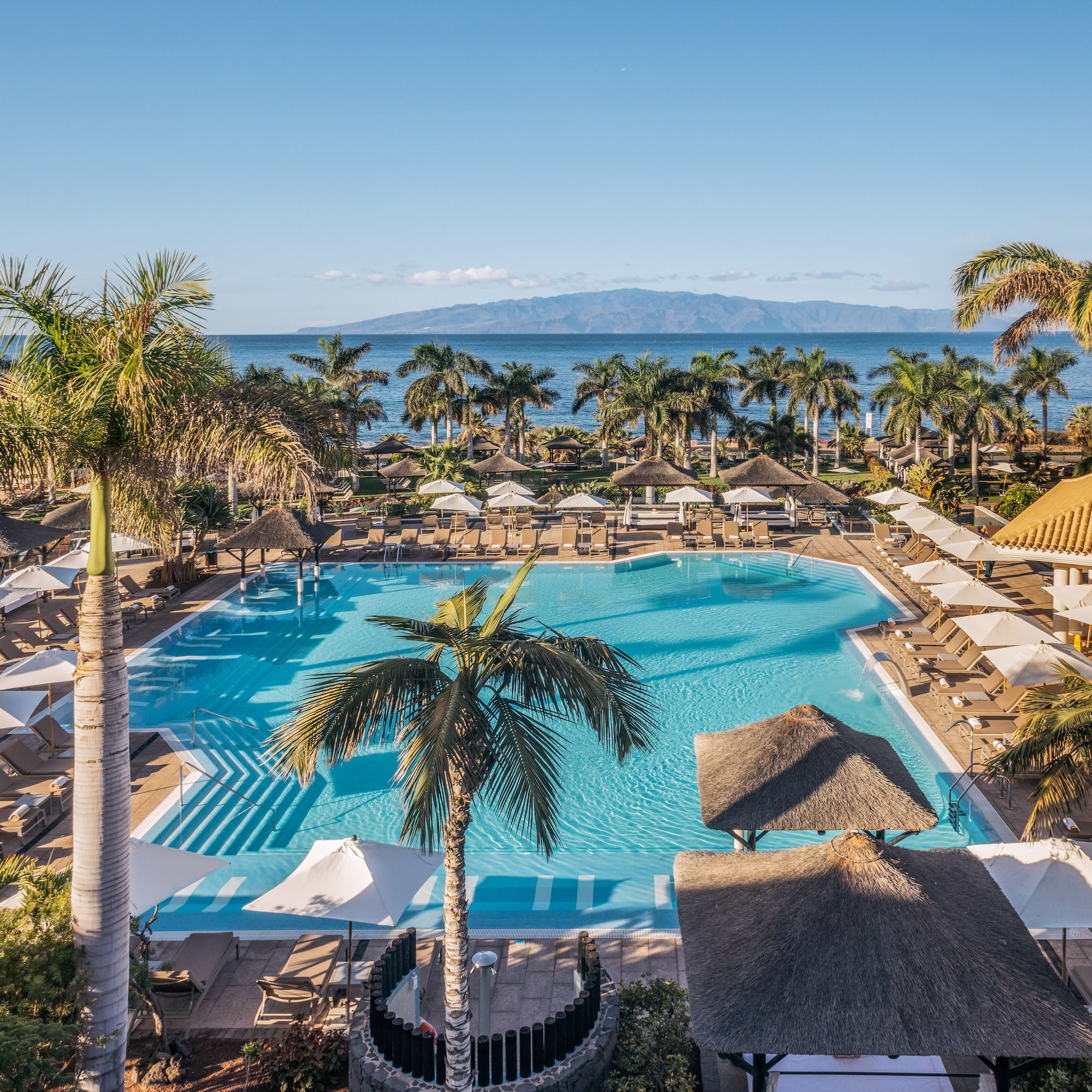 a pool with palm trees and a beach and a body of water