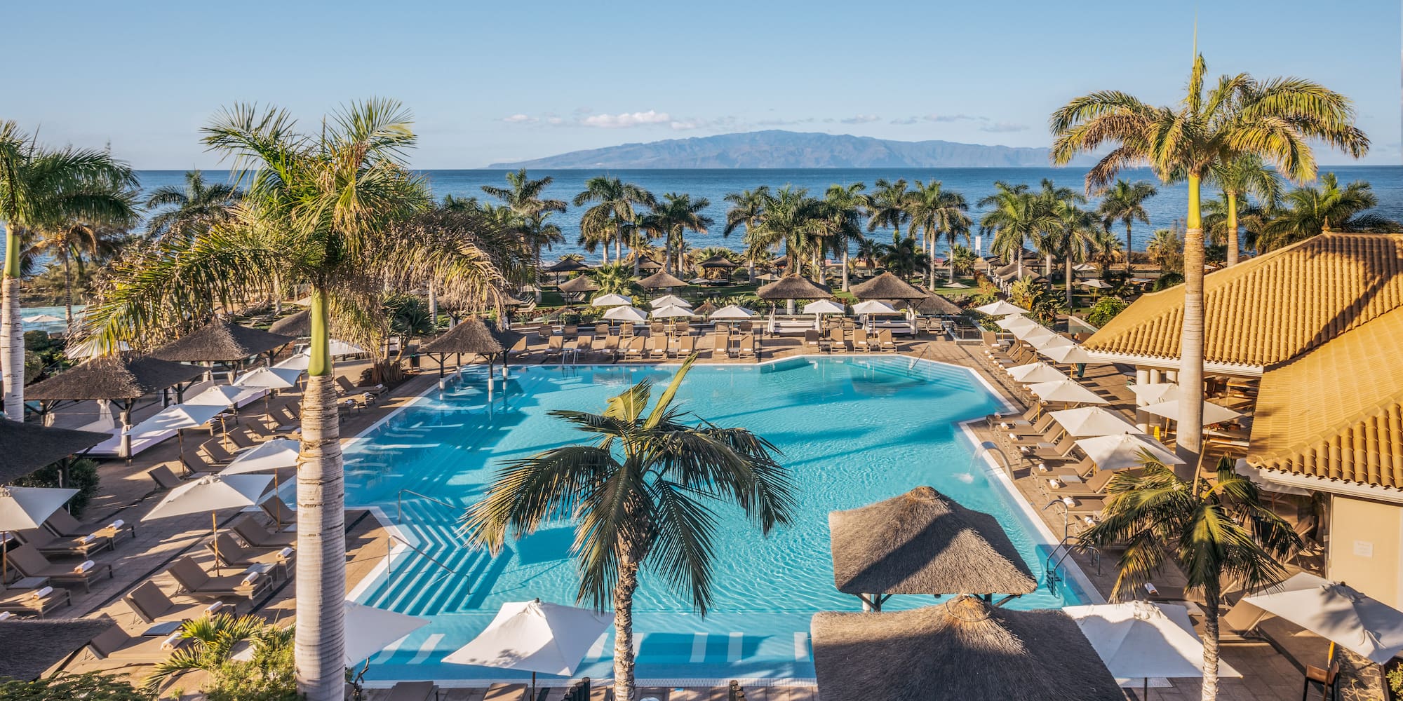 a pool with palm trees and a beach and a body of water