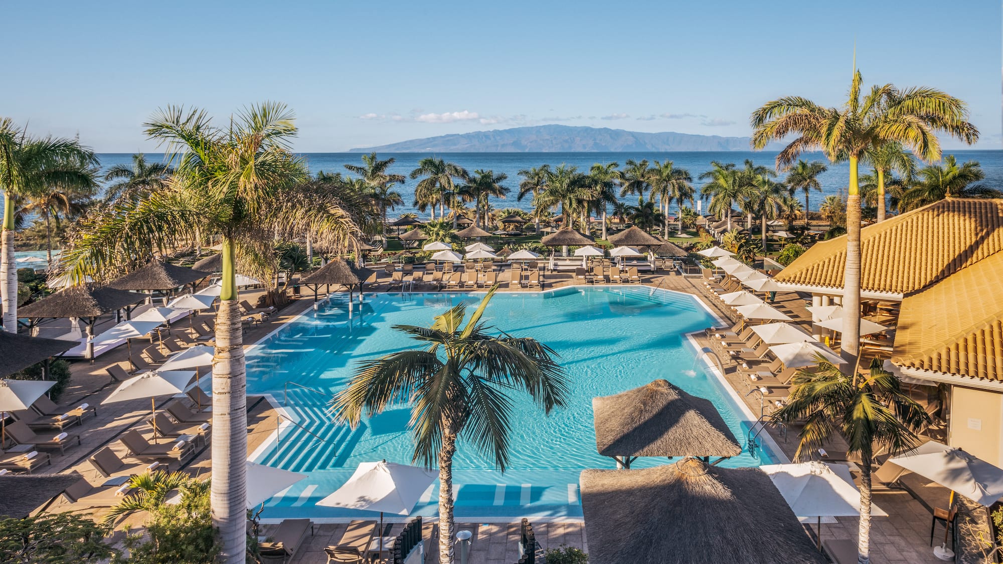 a pool with palm trees and a beach and a body of water