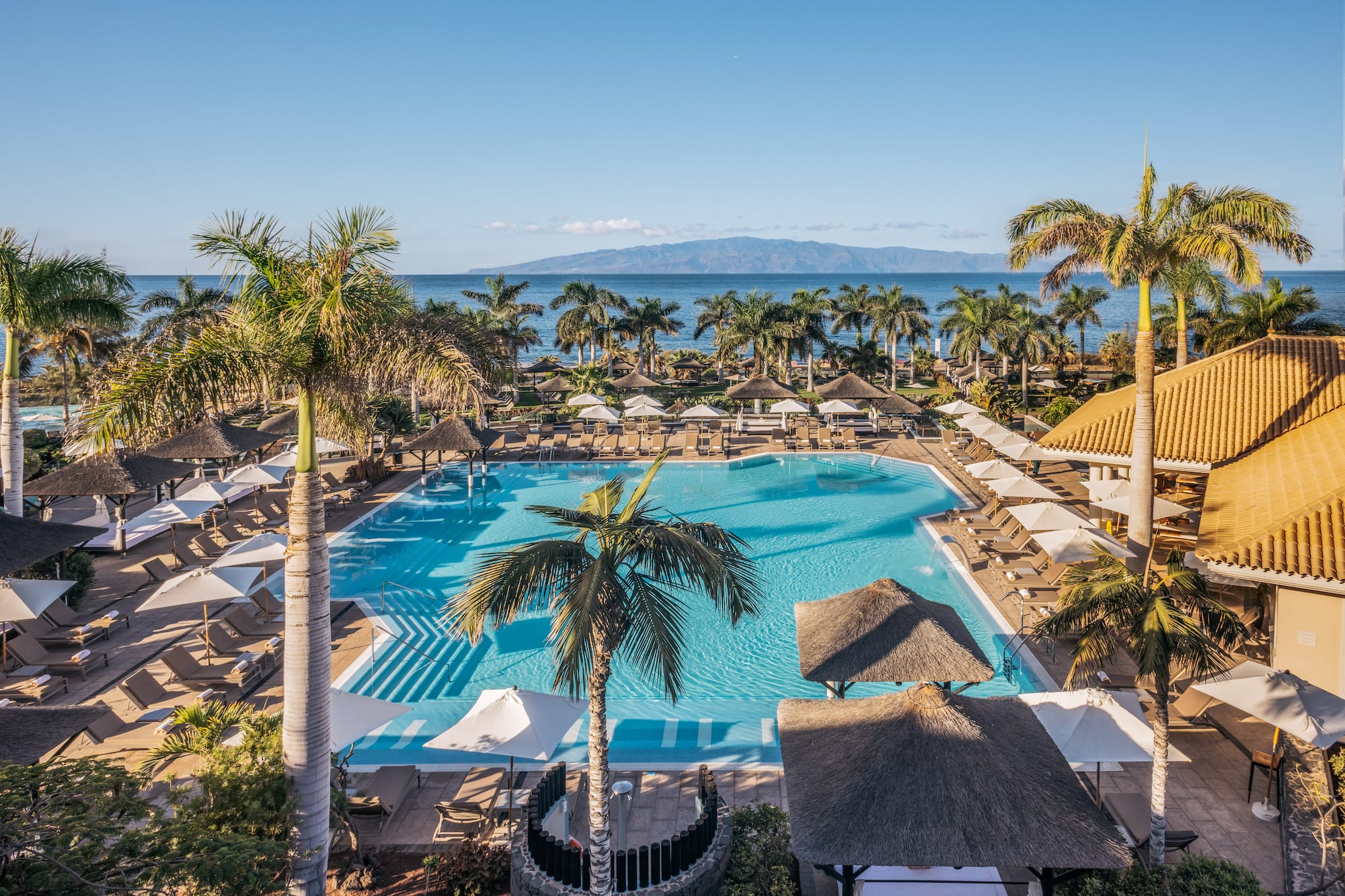 a pool with palm trees and a beach and a body of water