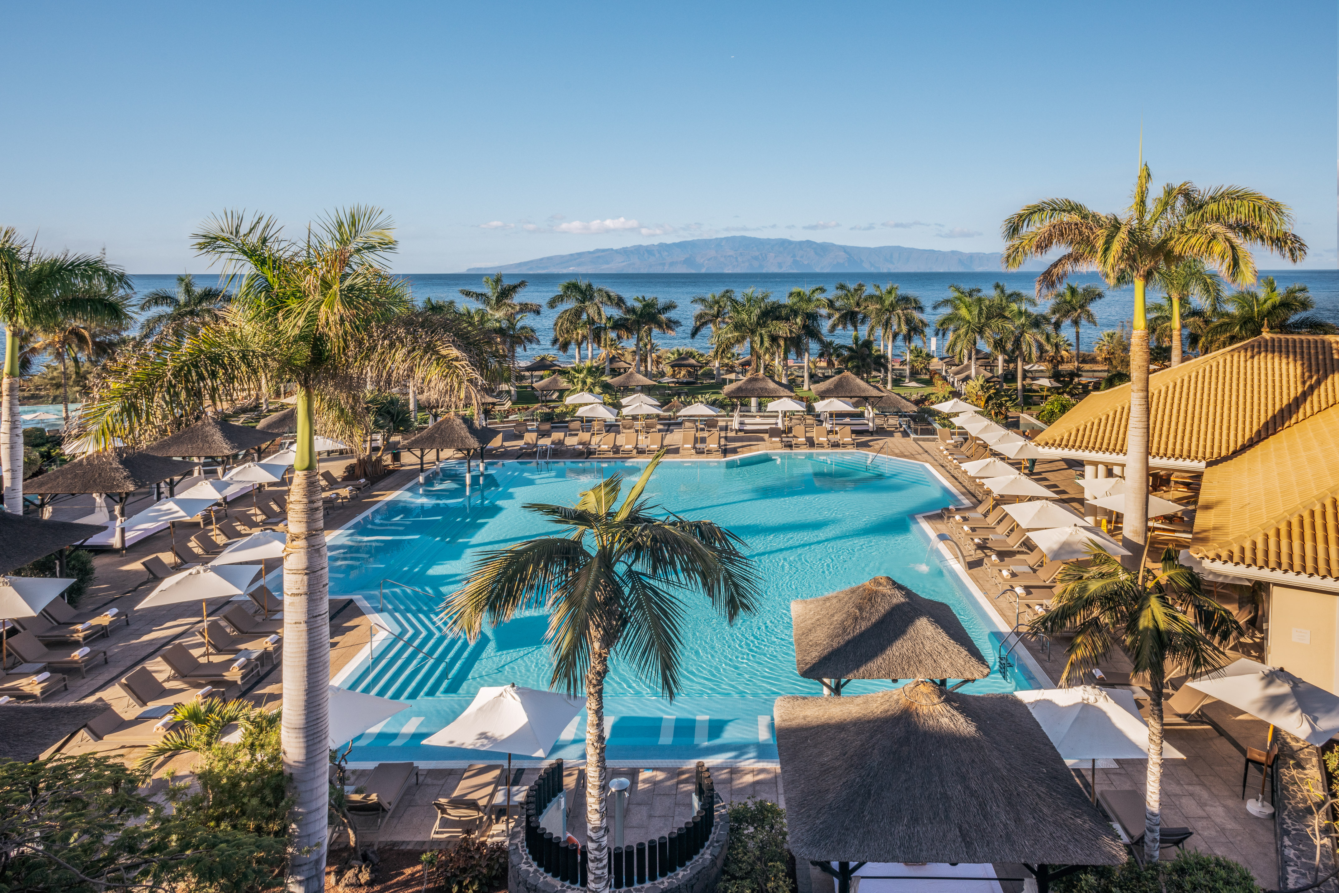 a pool with palm trees and a beach and a body of water