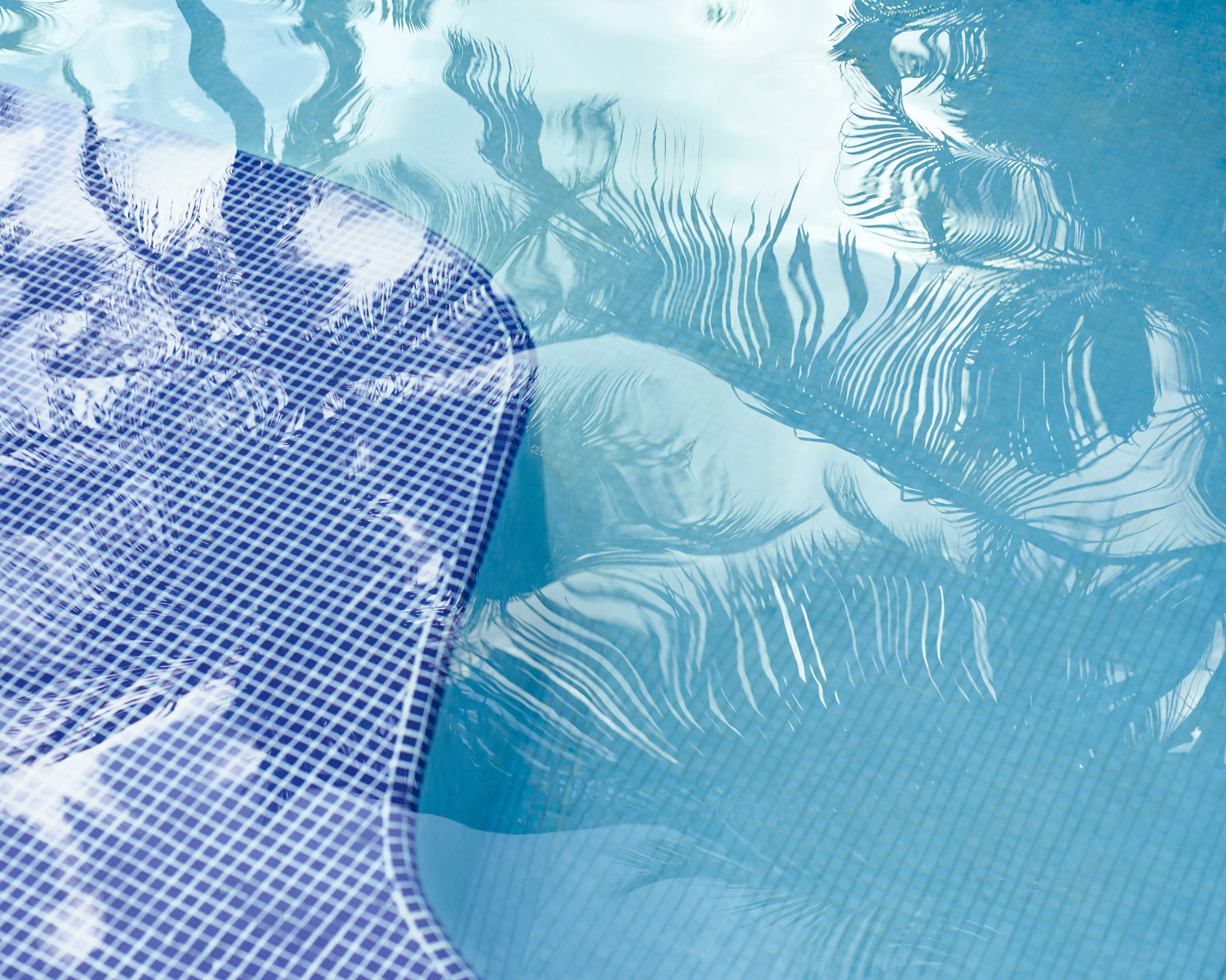Blue swimming pool with water ripples, palm reflections, and mosaic tiles.