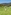Man in blue shirt golfing, mid-swing, on a green course with hills.