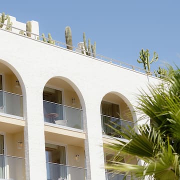 a building with a balcony and cactus on the roof