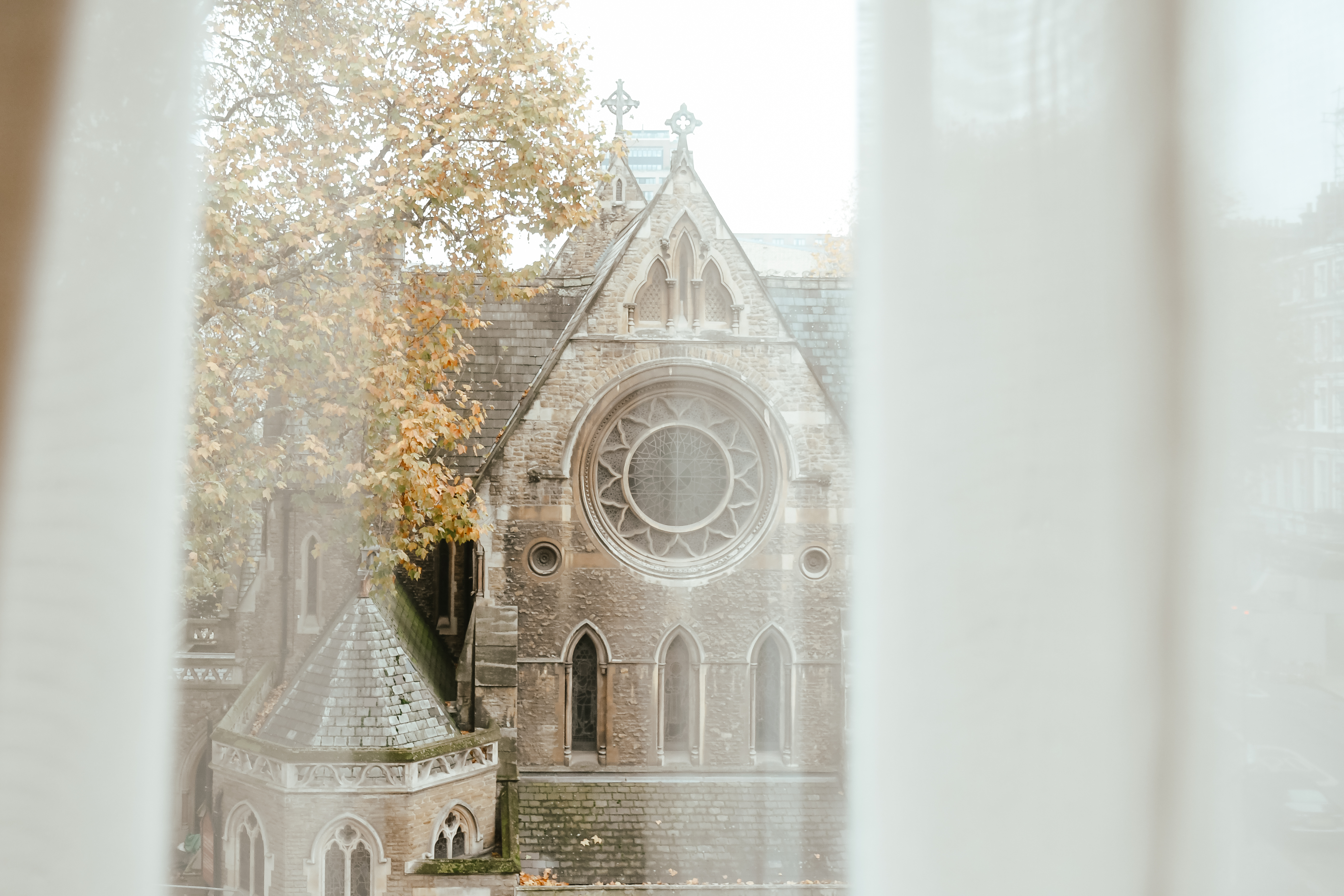 Stone Gothic church with rose window, autumn trees, seen through sheer curtains.