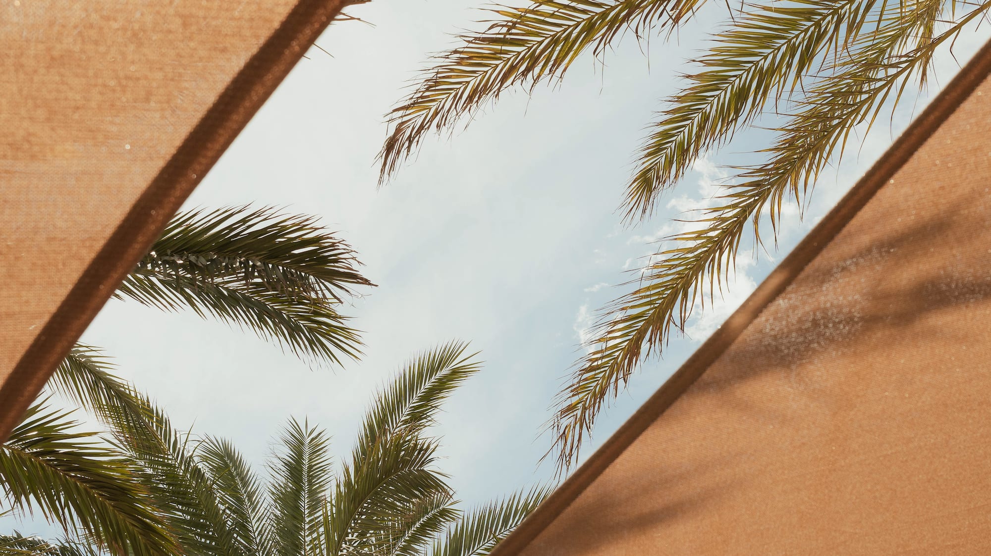 Tropical palm trees under a sunny sky, framed by a beige sunshade.