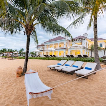 a hammock between palm trees on a beach