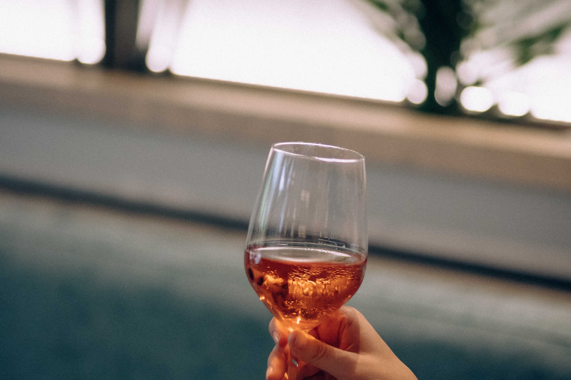 a hand holding a glass of wine