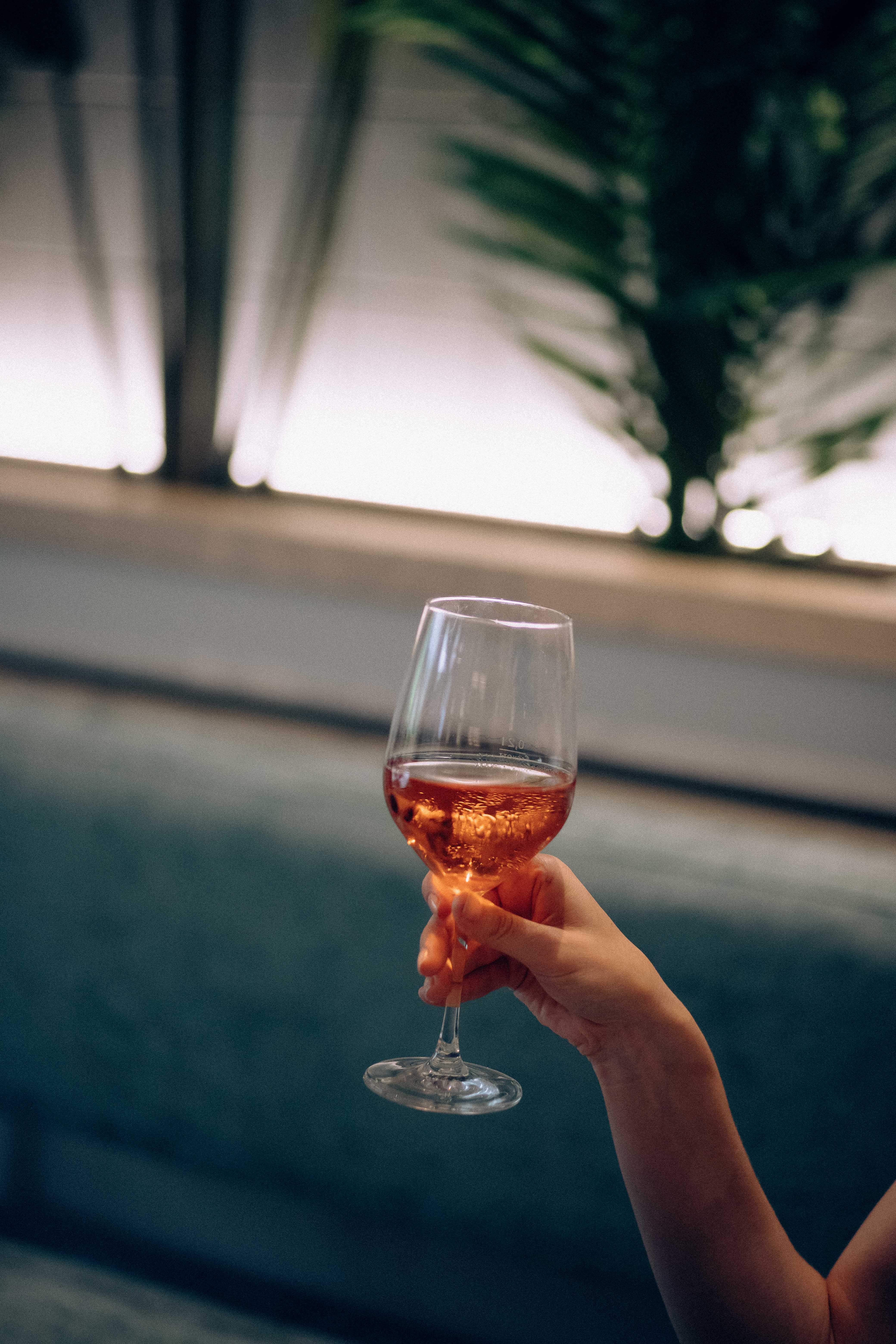 a hand holding a glass of wine