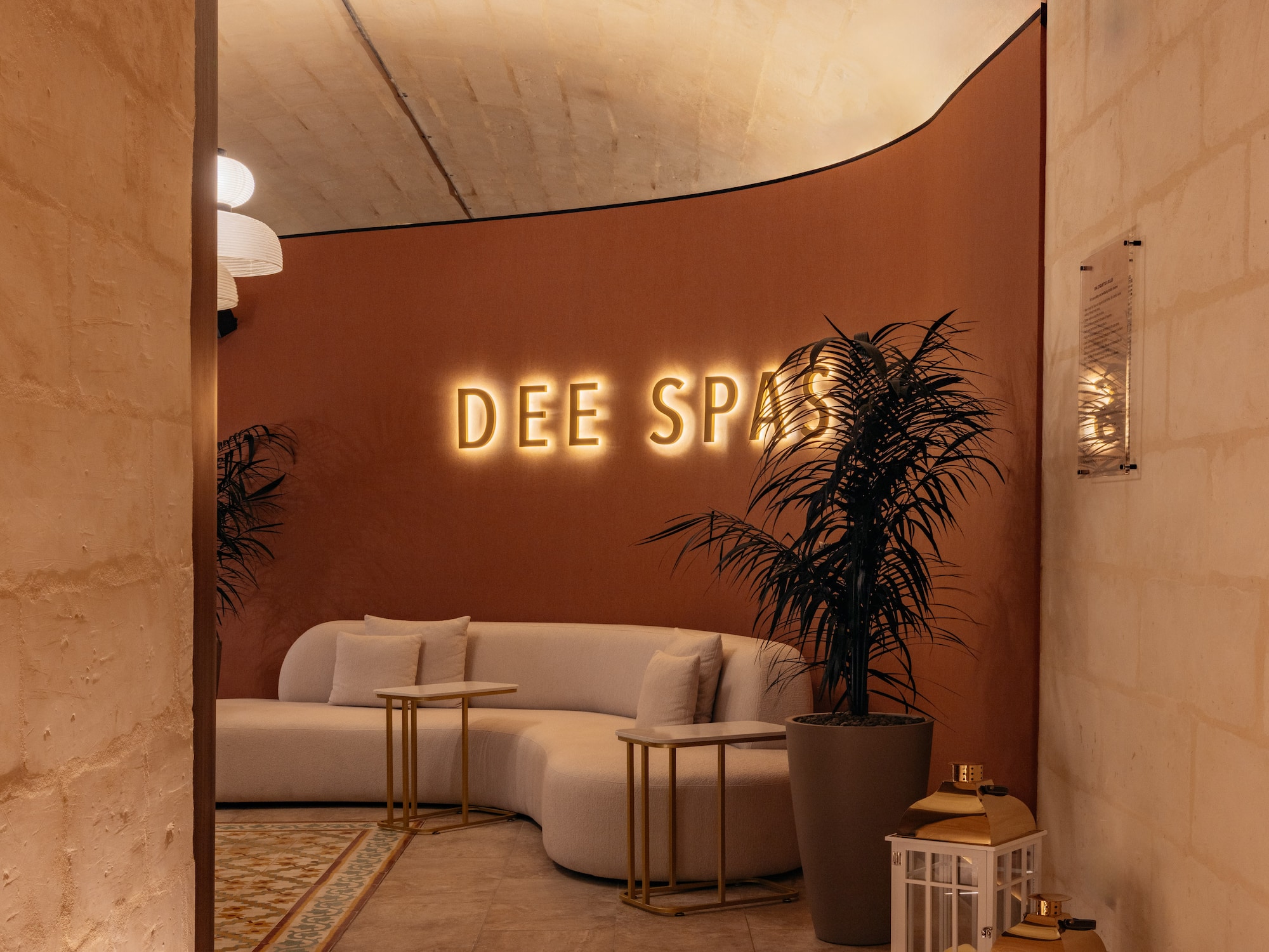 a room with a couch and a plant