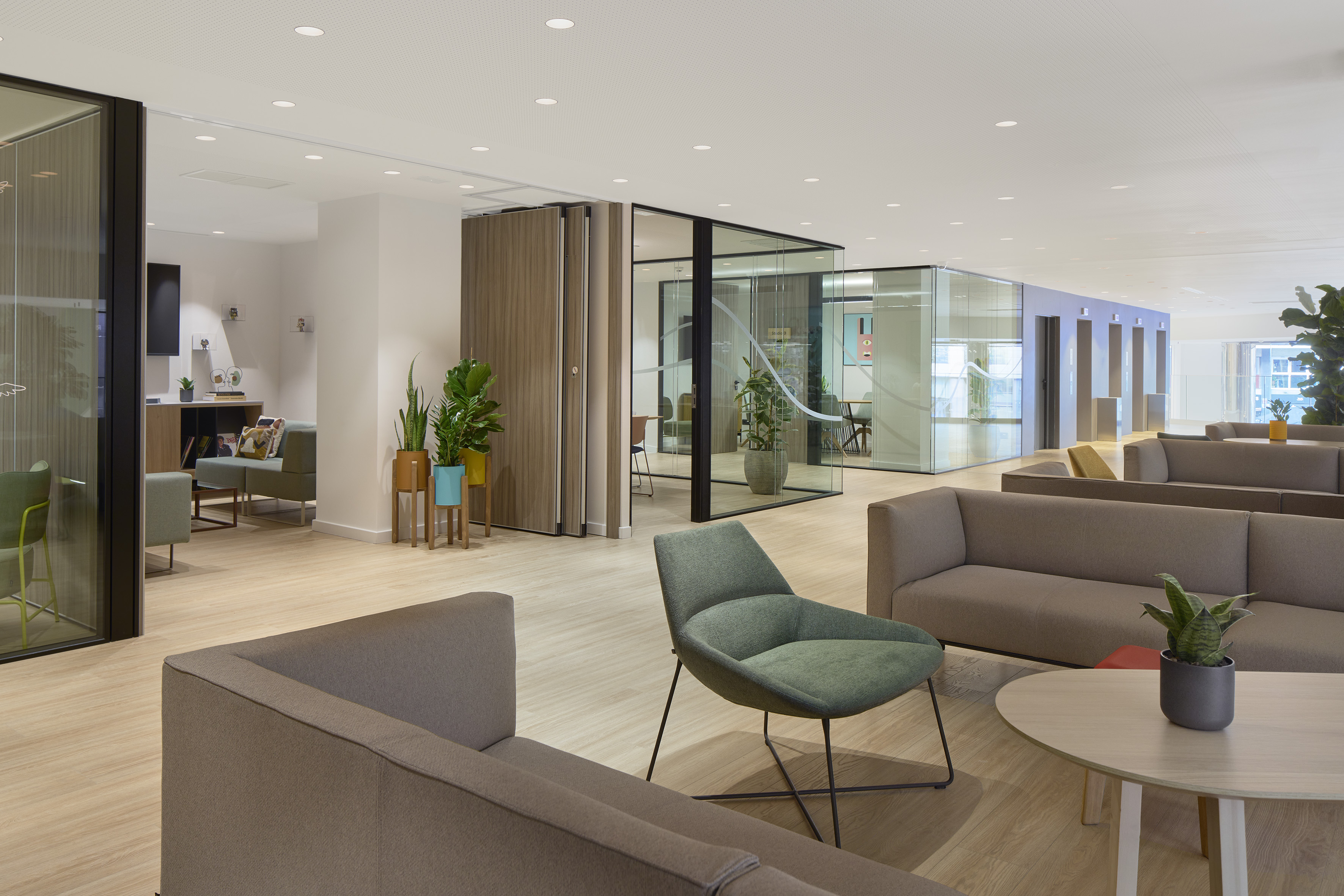 Modern office lounge area with soft seating, glass partitions, plants, wood floor.