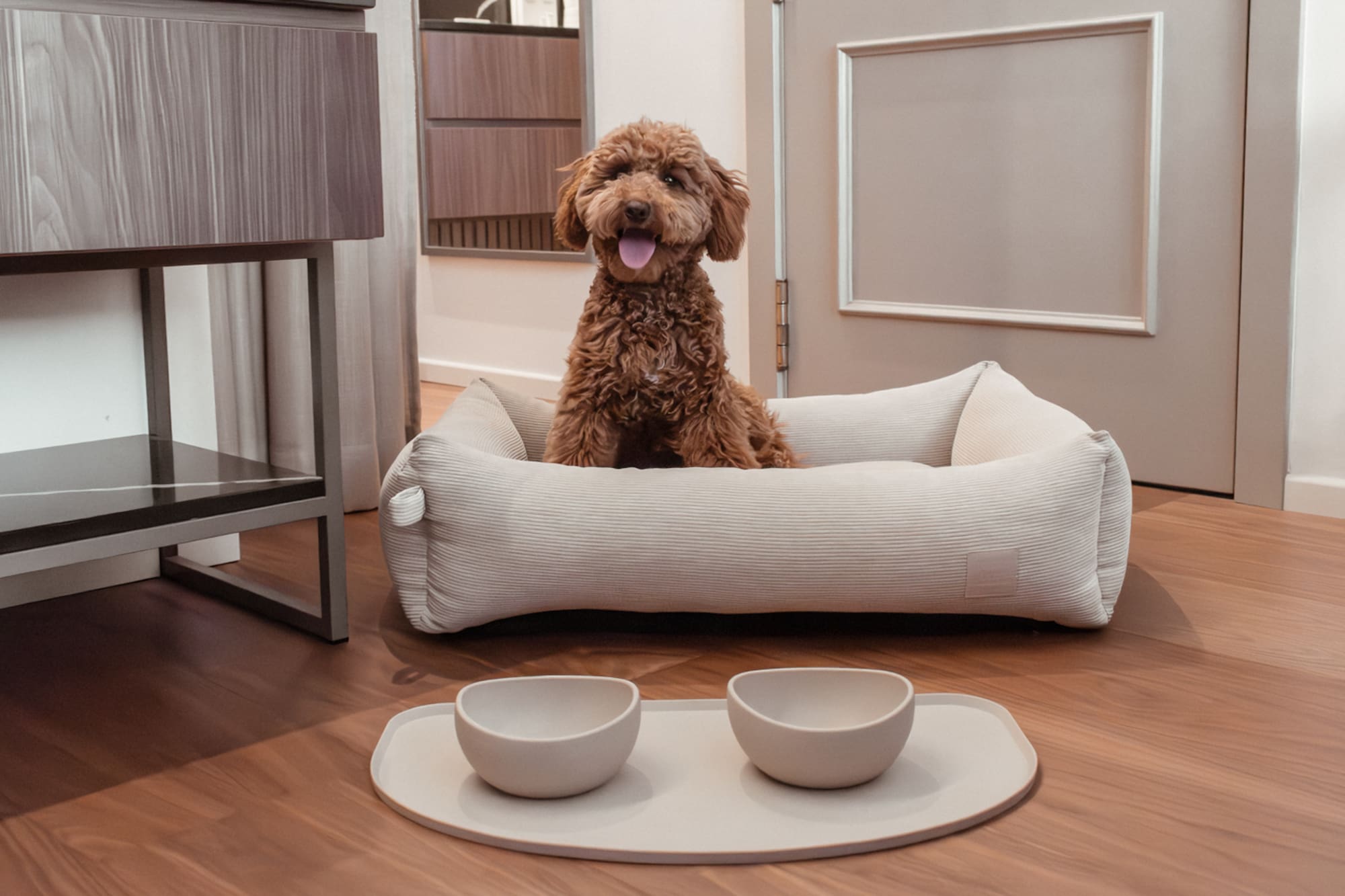 Cute brown poodle in beige dog bed with pet bowls.