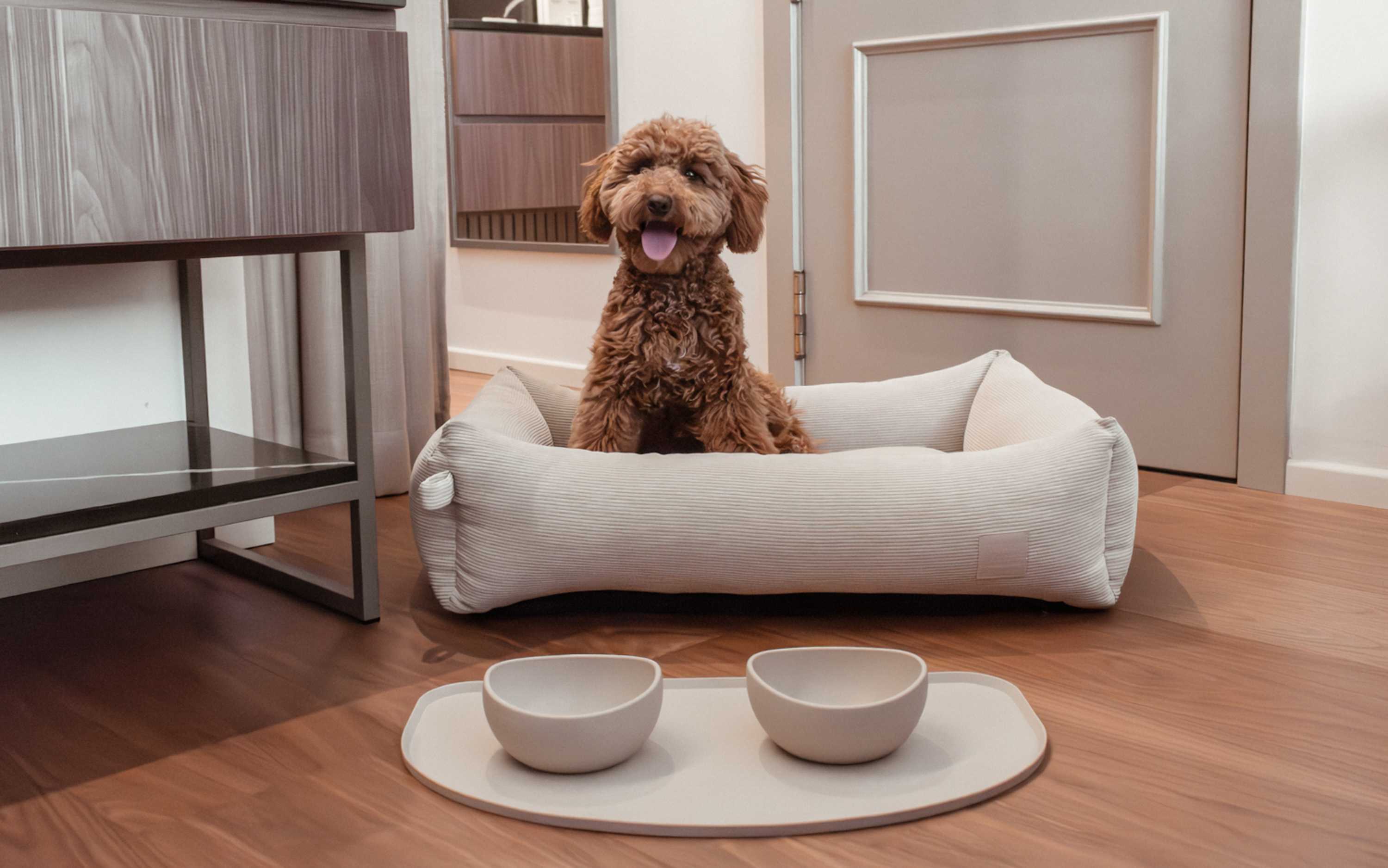 Cute brown poodle in beige dog bed with pet bowls.
