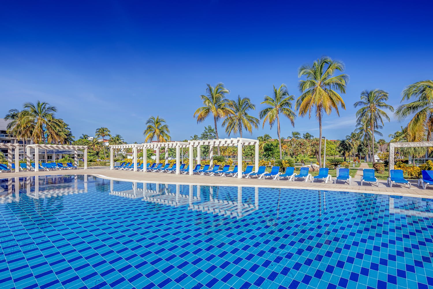 a pool with chairs and trees