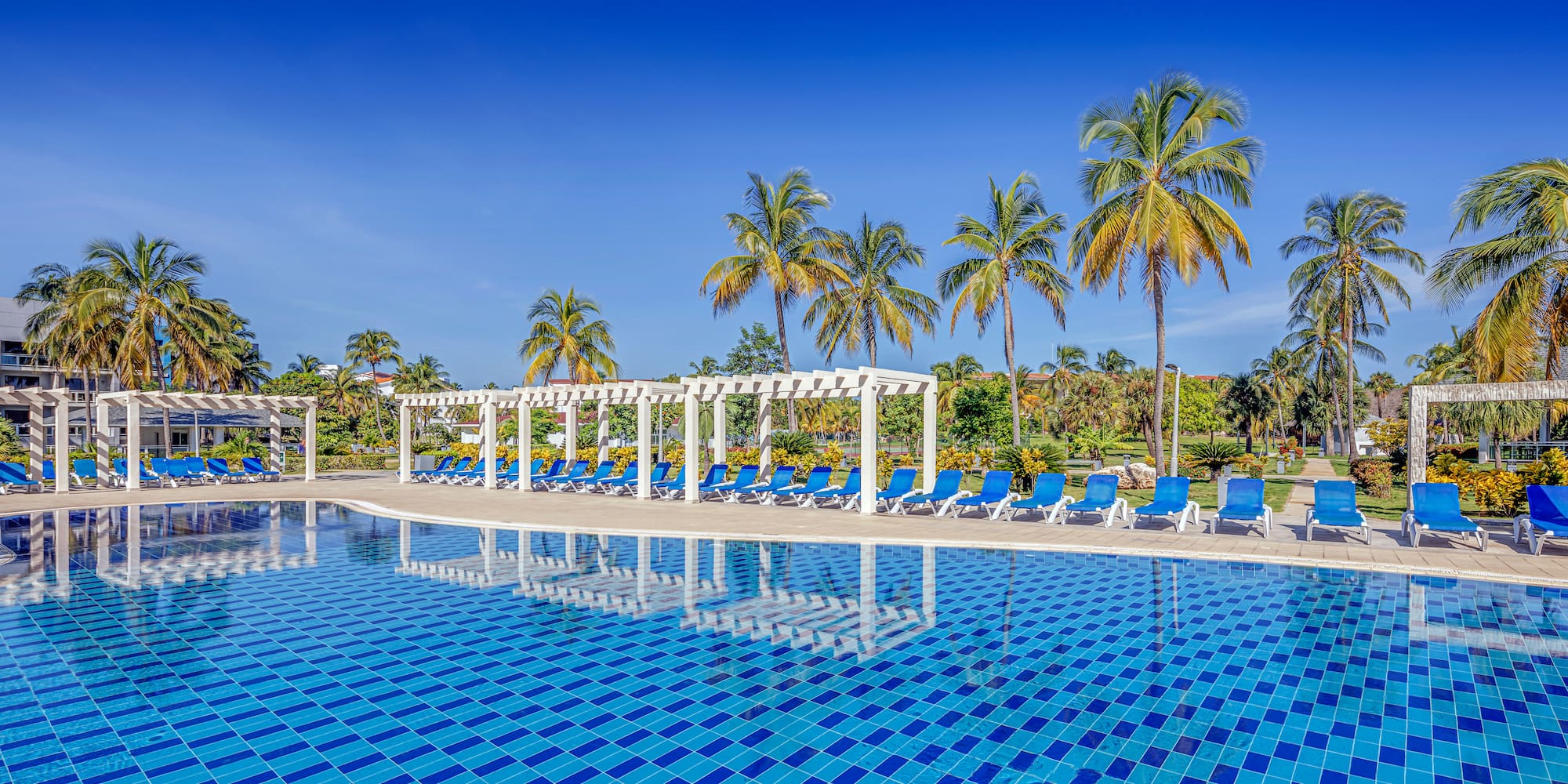 a pool with chairs and trees