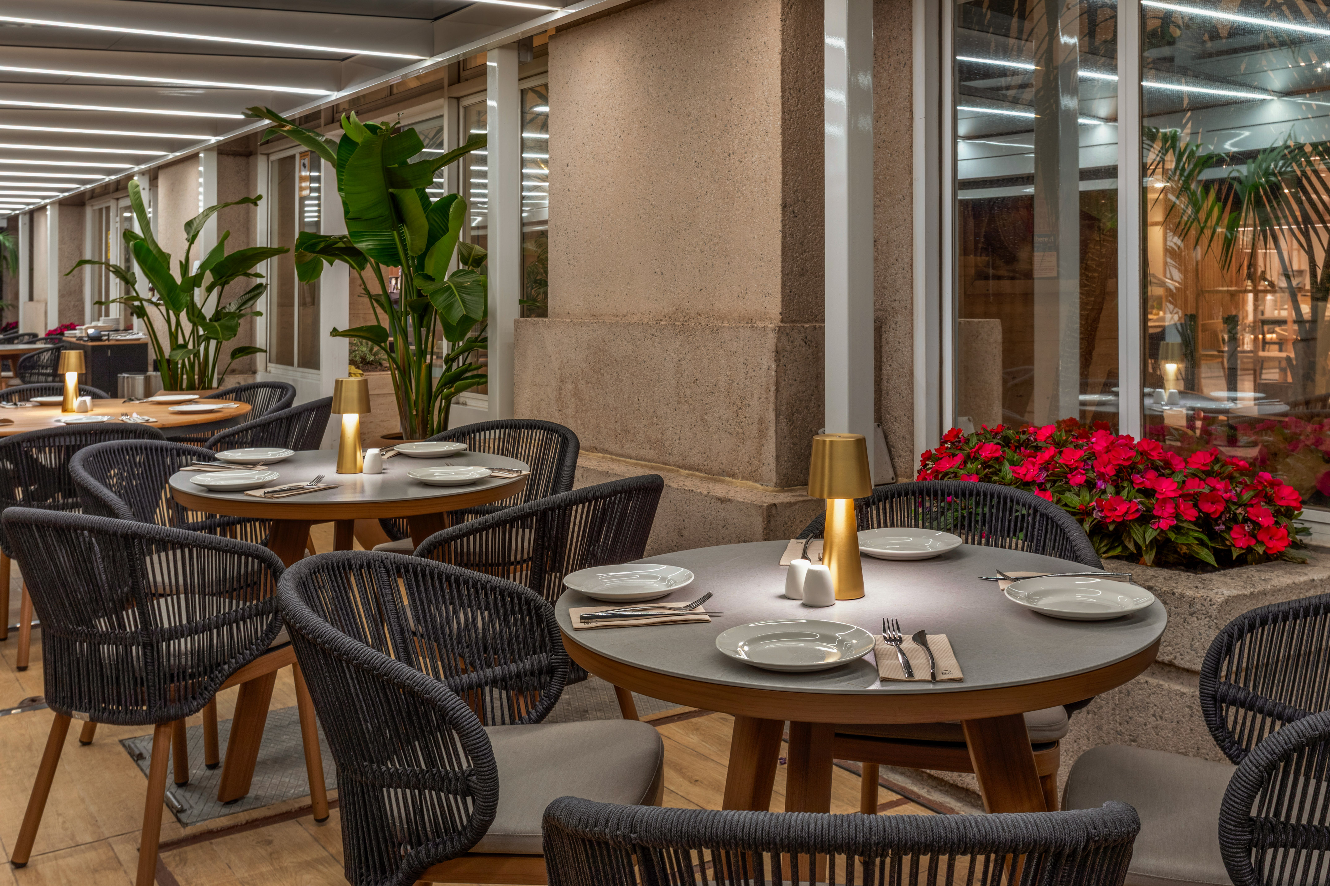Modern outdoor restaurant patio with dining tables, woven chairs, and illuminated plants.