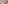 Conference room with round tables, projector screen, and refreshment station.