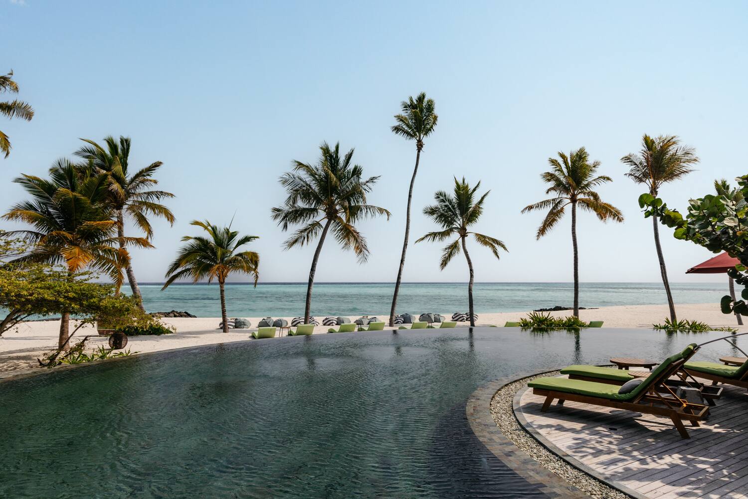 a pool with palm trees and chairs on the beach