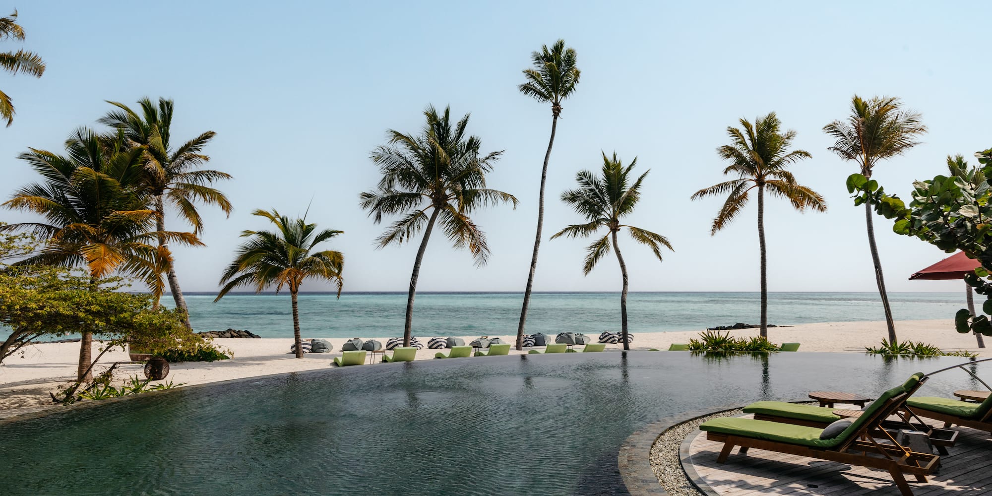 a pool with palm trees and chairs on the beach