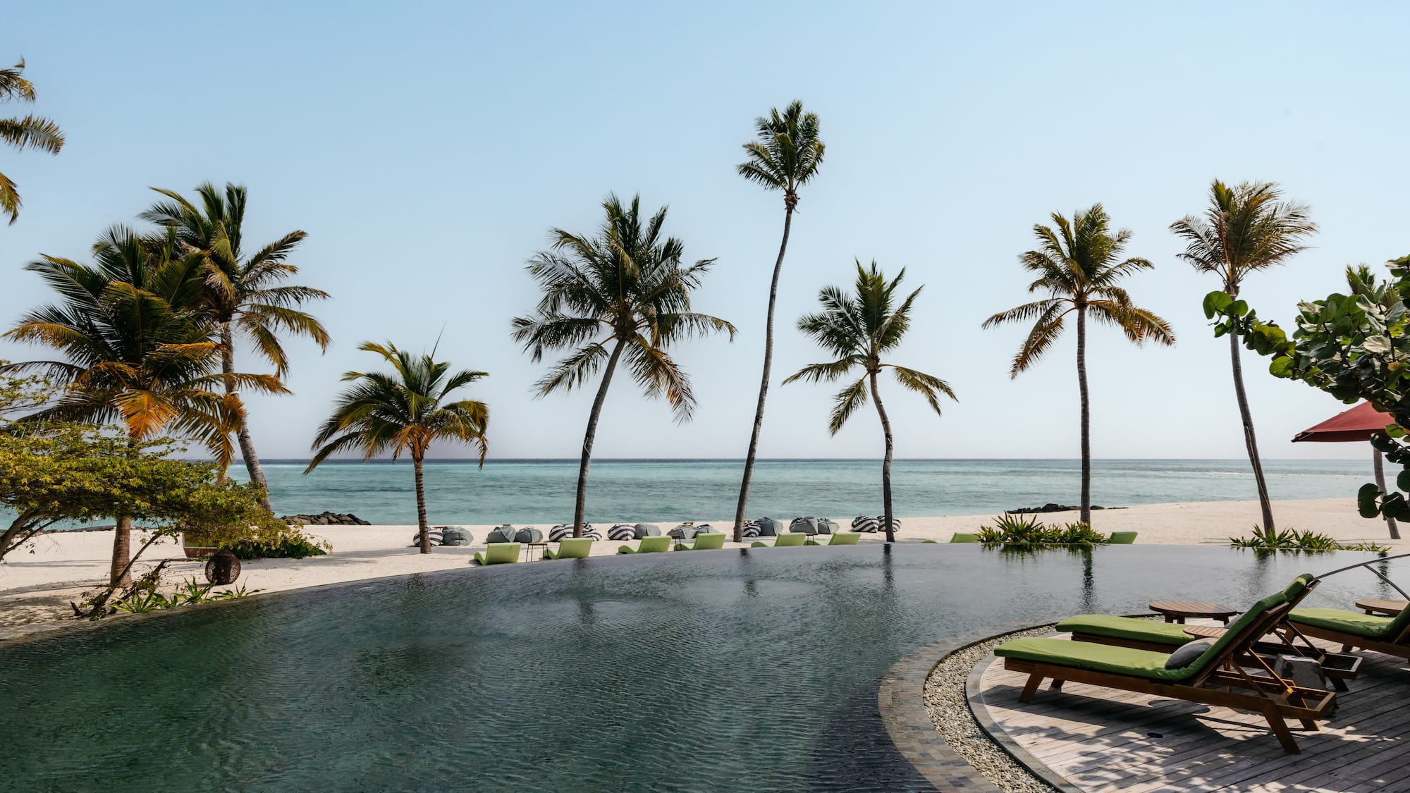 a pool with palm trees and chairs on the beach