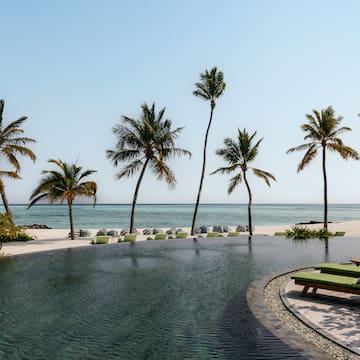 a pool with palm trees and chairs on the beach