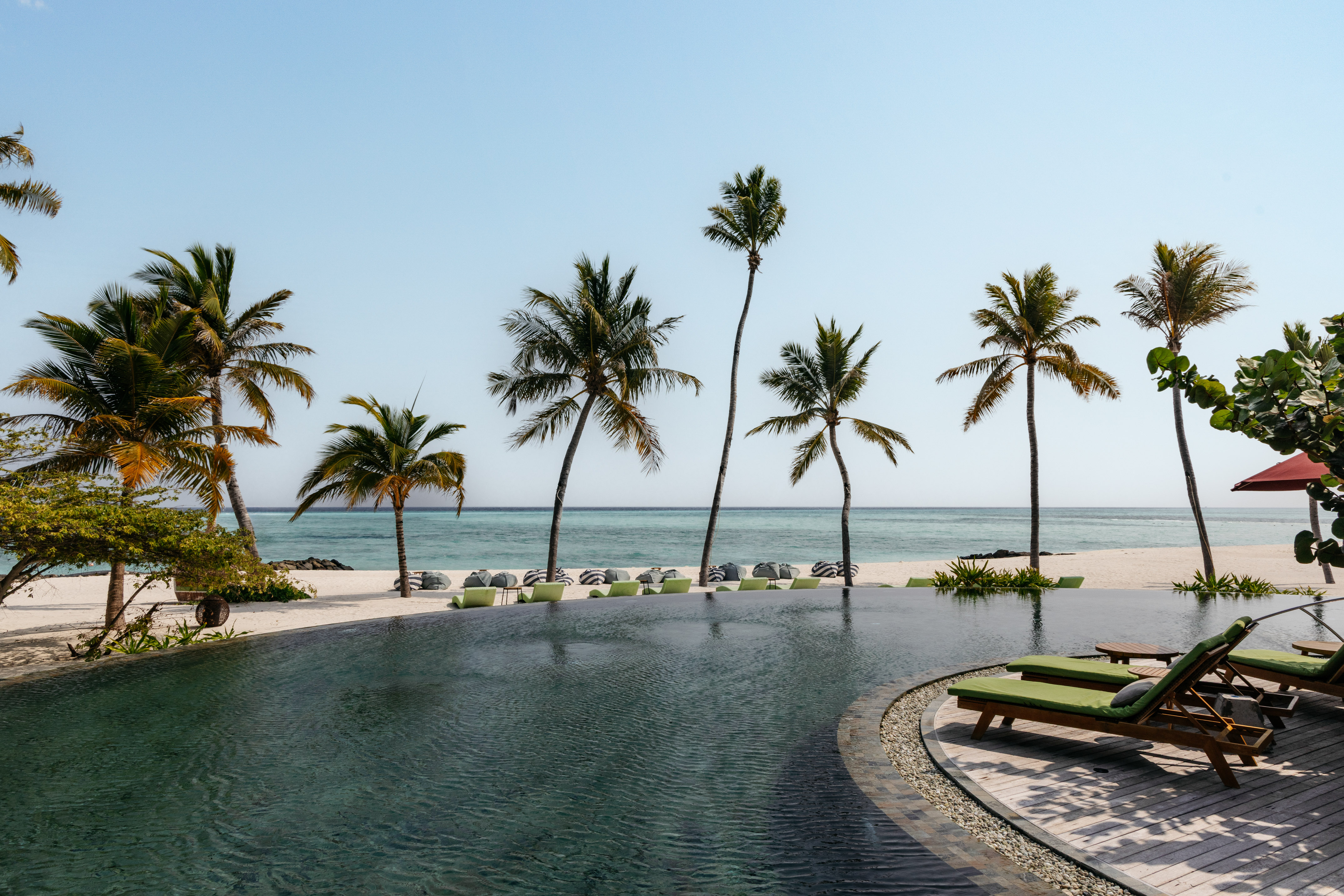 a pool with palm trees and chairs on the beach