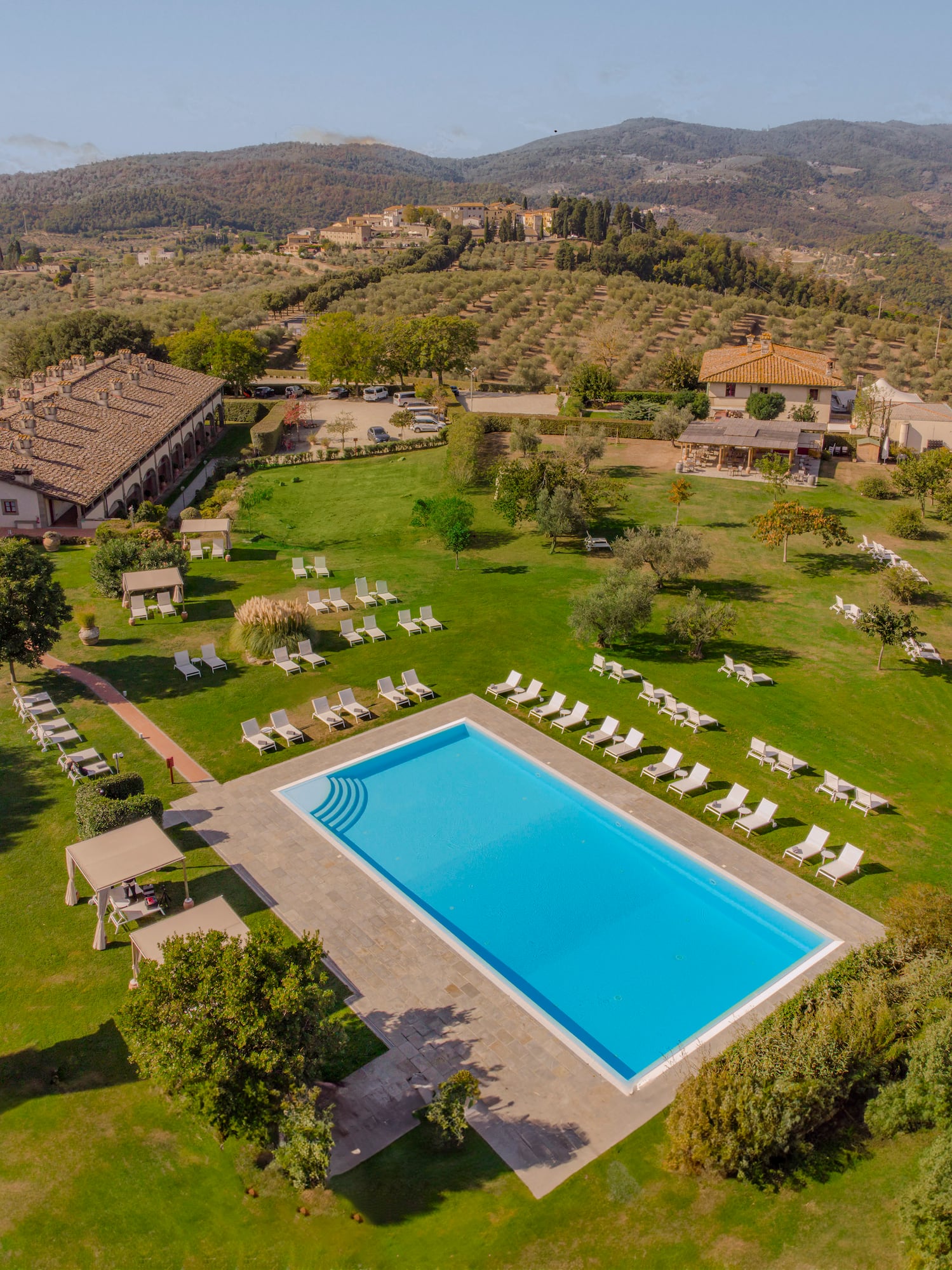 a pool in a grassy area with lawn chairs and trees