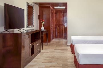 a room with two beds and a television