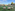 Five sheep grazing in a winter vineyard with green ground cover.