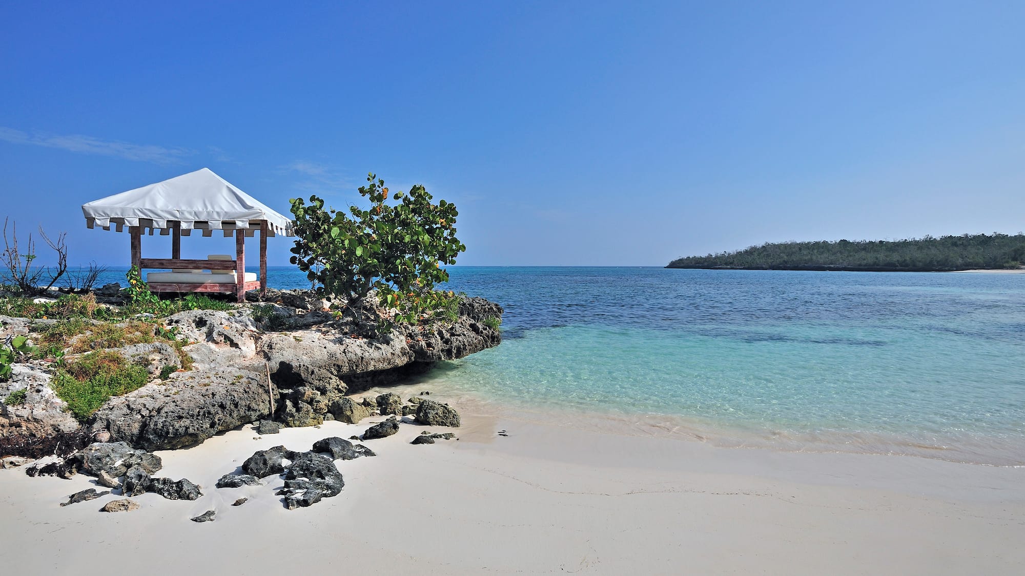 a white sand beach with a white tent and a tree on it