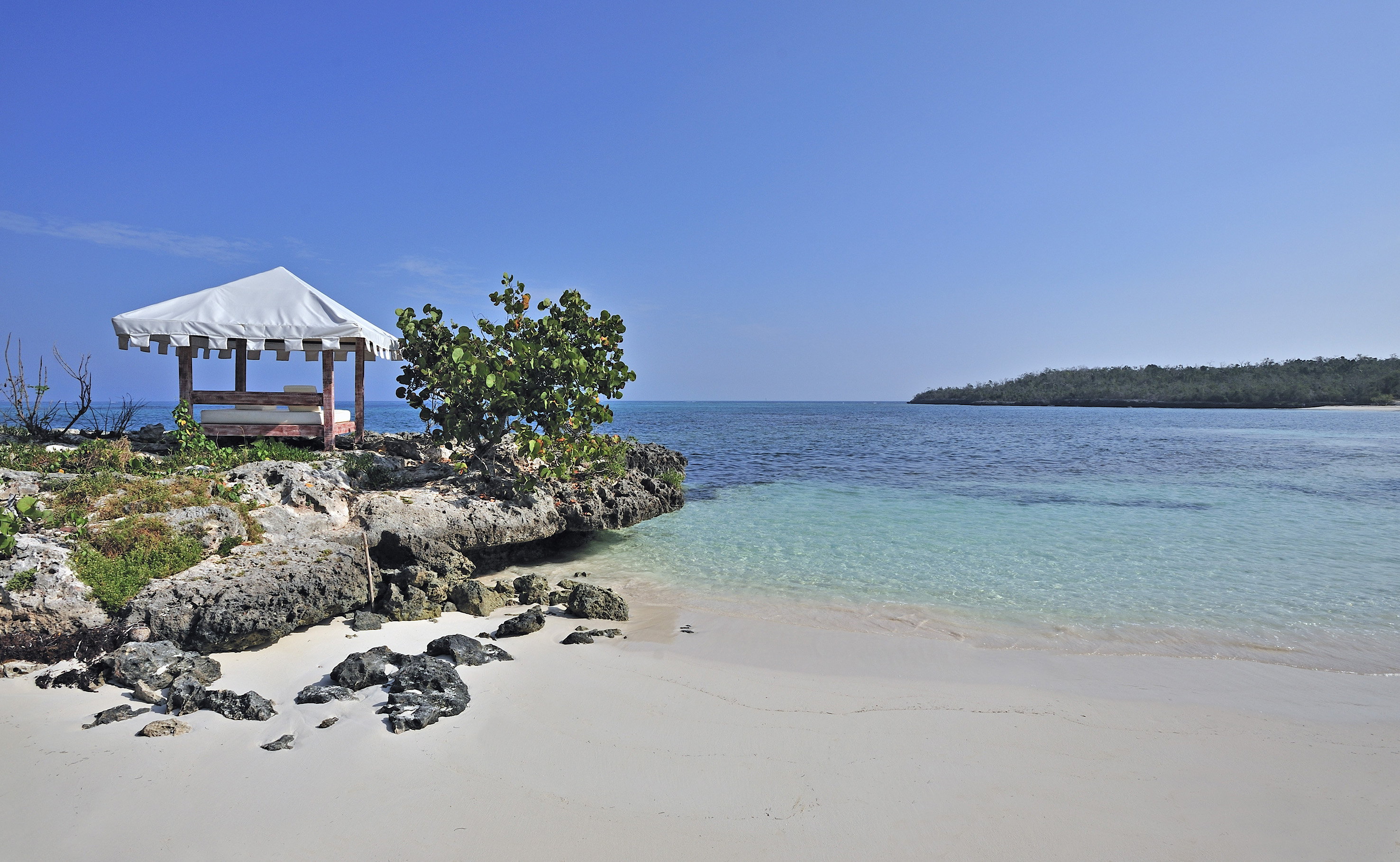a white sand beach with a white tent and a tree on it