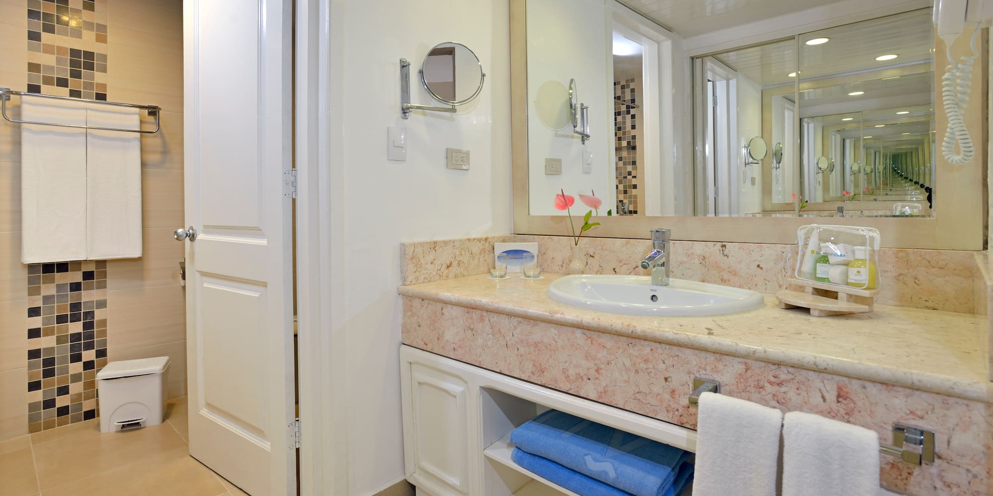 a bathroom with a sink and mirror