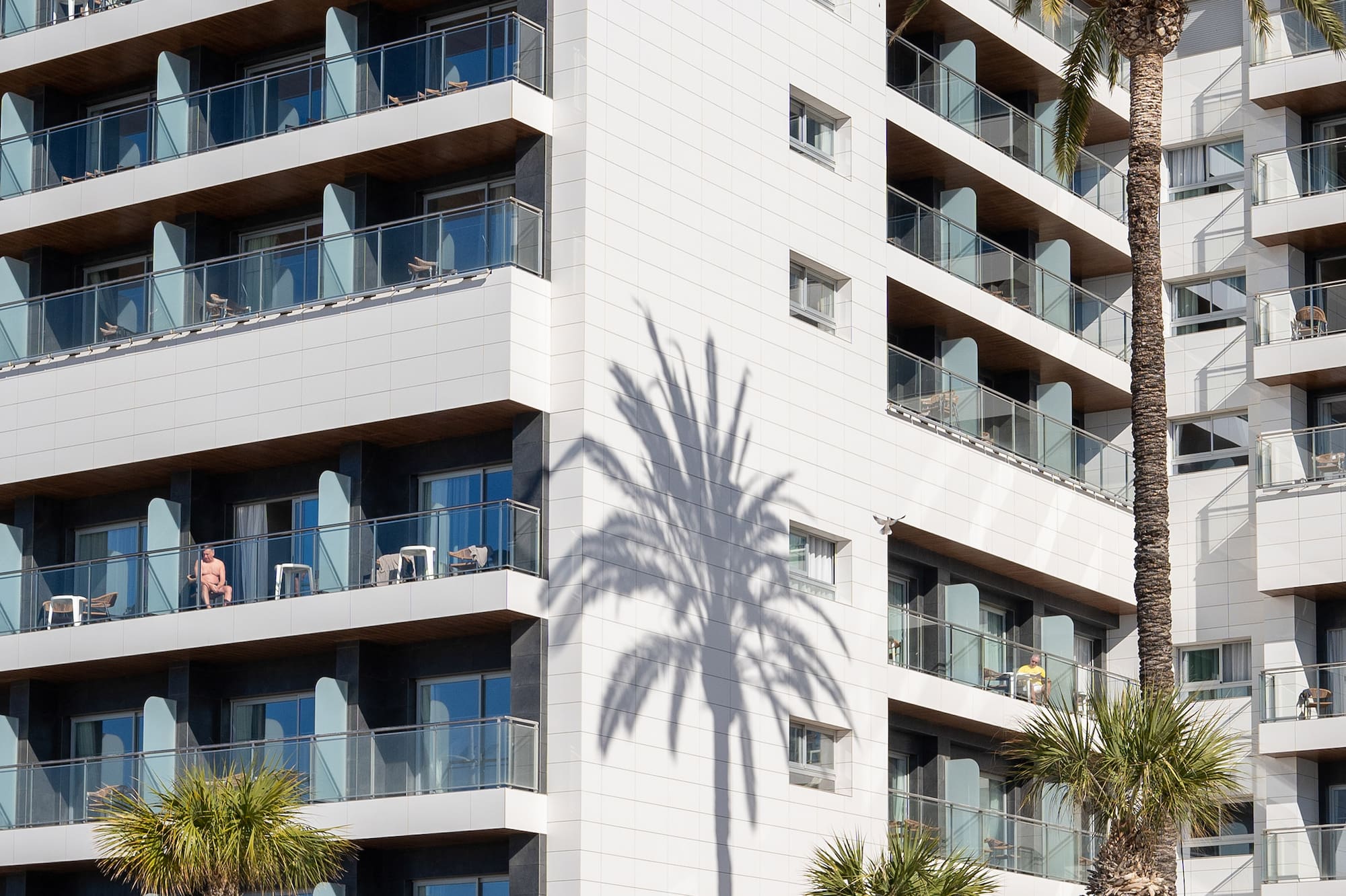 a building with palm trees