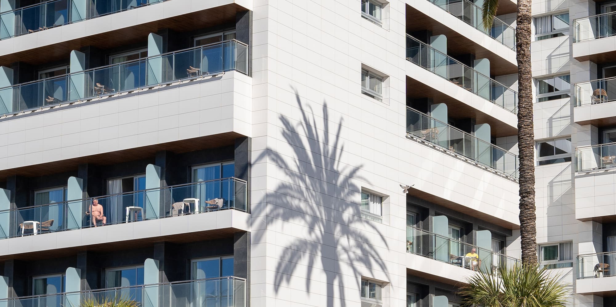 a building with palm trees
