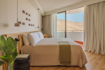 a bedroom with a bed and a plant