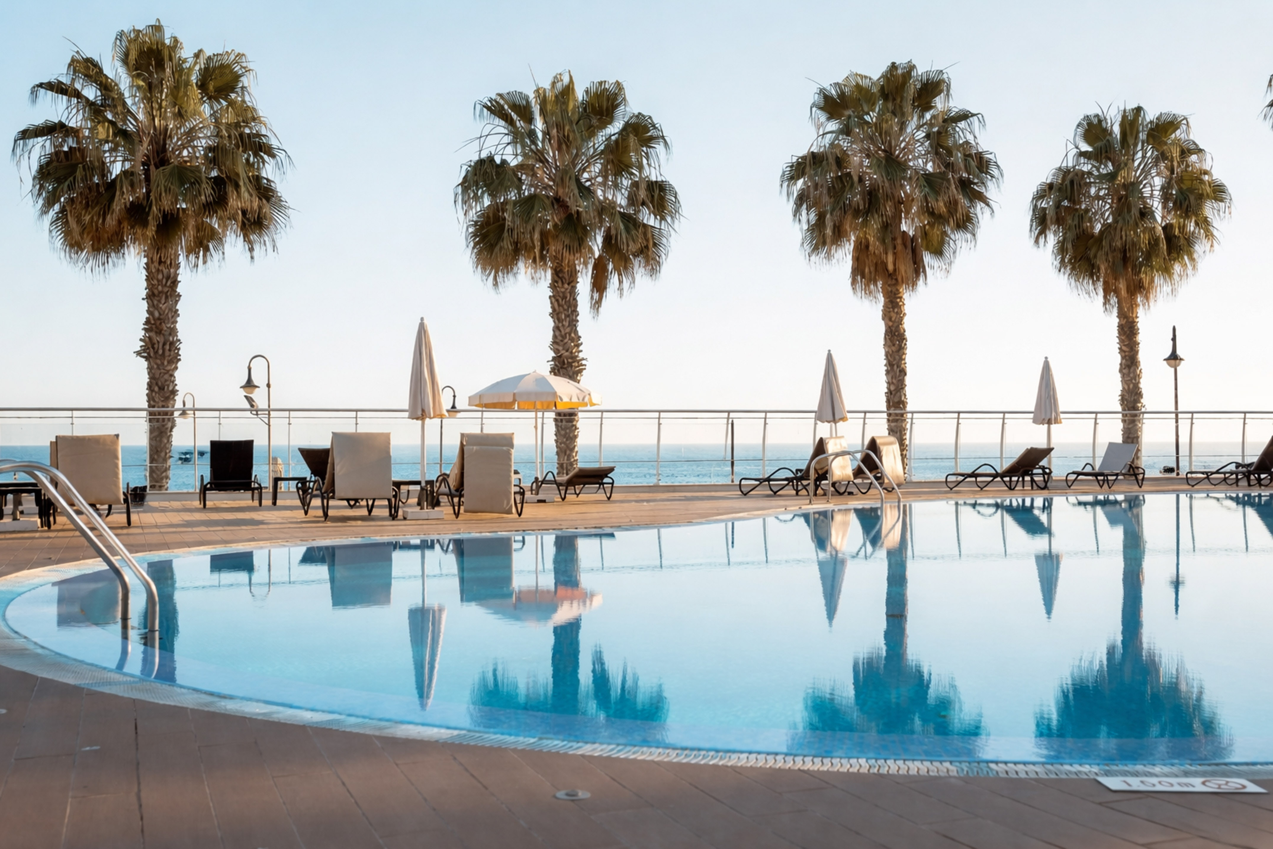 Hotel pool overlooking the ocean, lined with palm trees and lounge chairs.