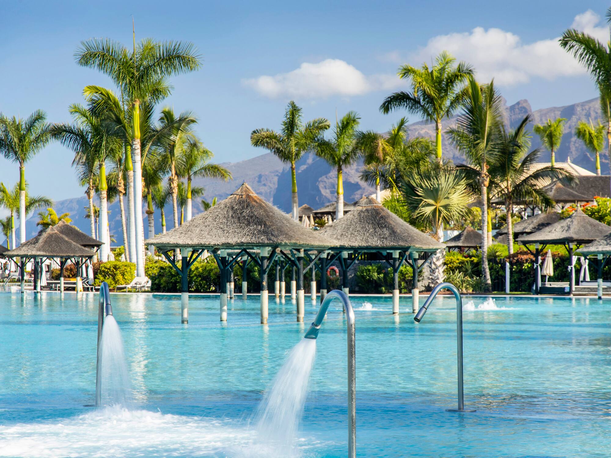 a pool with water jets and trees