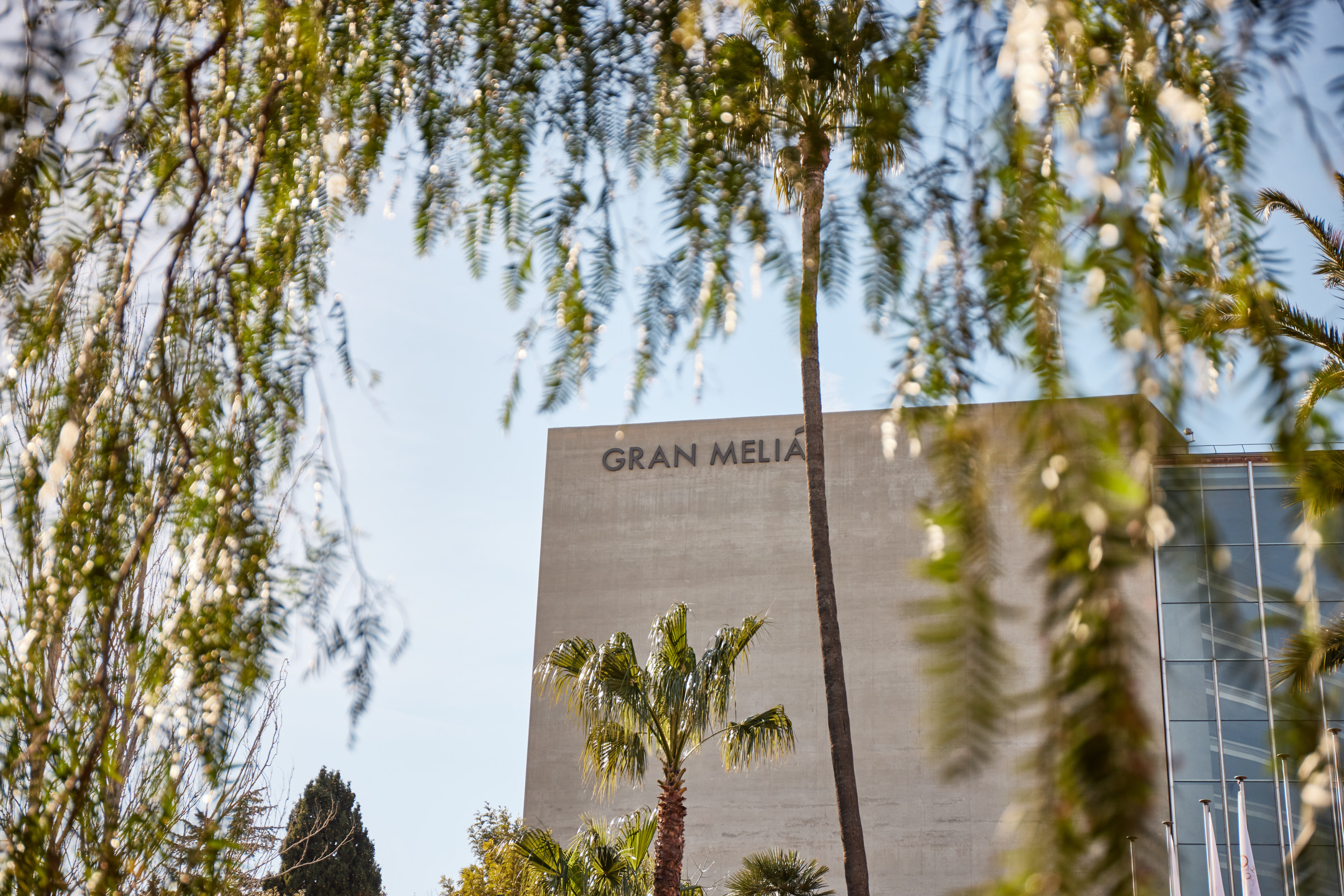 Gran Meliá hotel building framed by palm trees and green foliage.