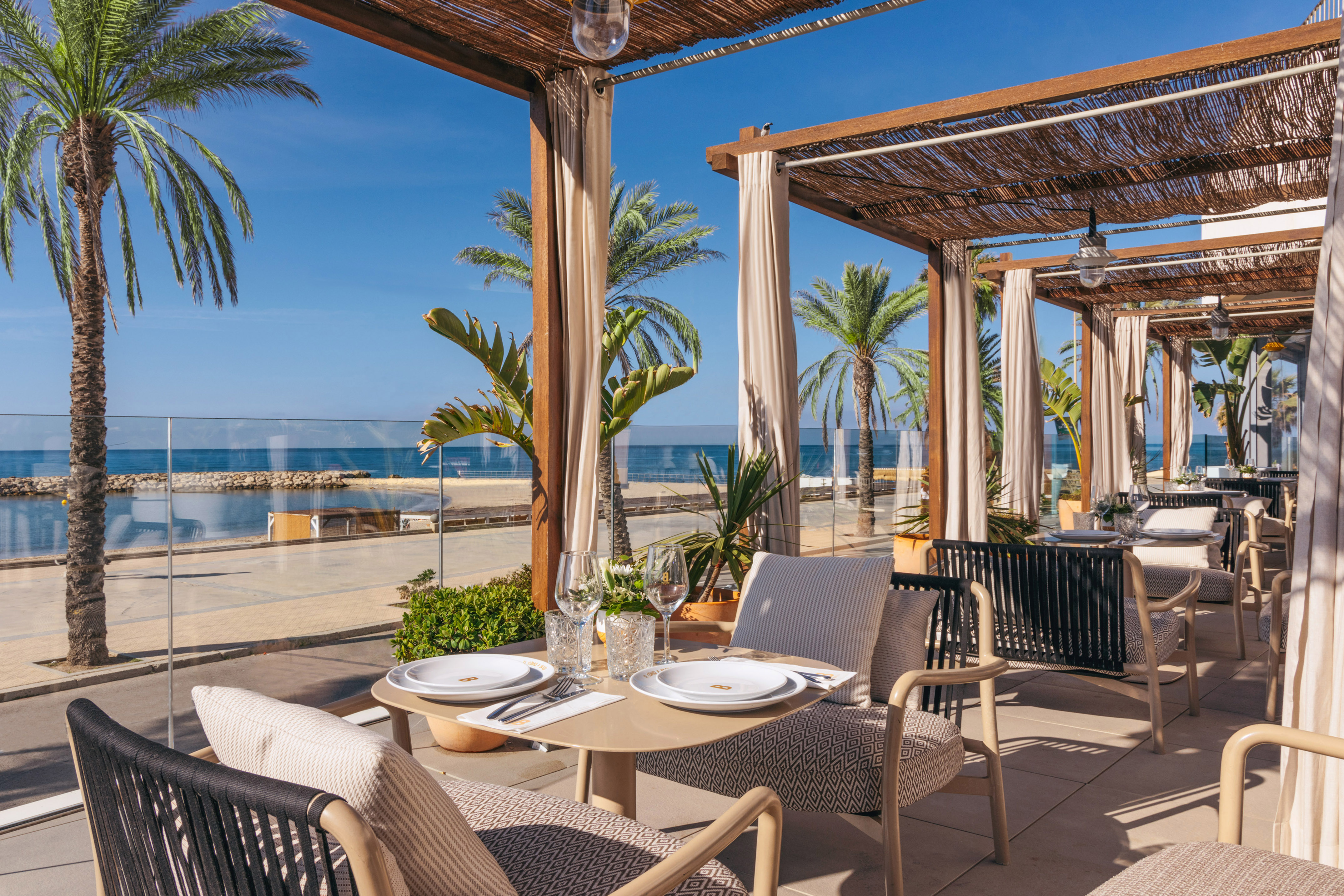 Beachfront restaurant terrace with palm trees, set tables, and ocean view.