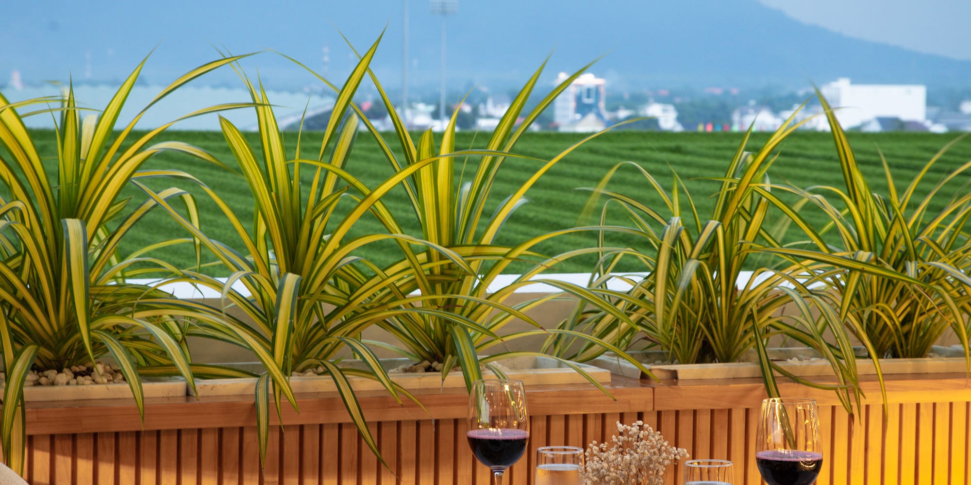 a table with food on it and a view of a mountain in the background